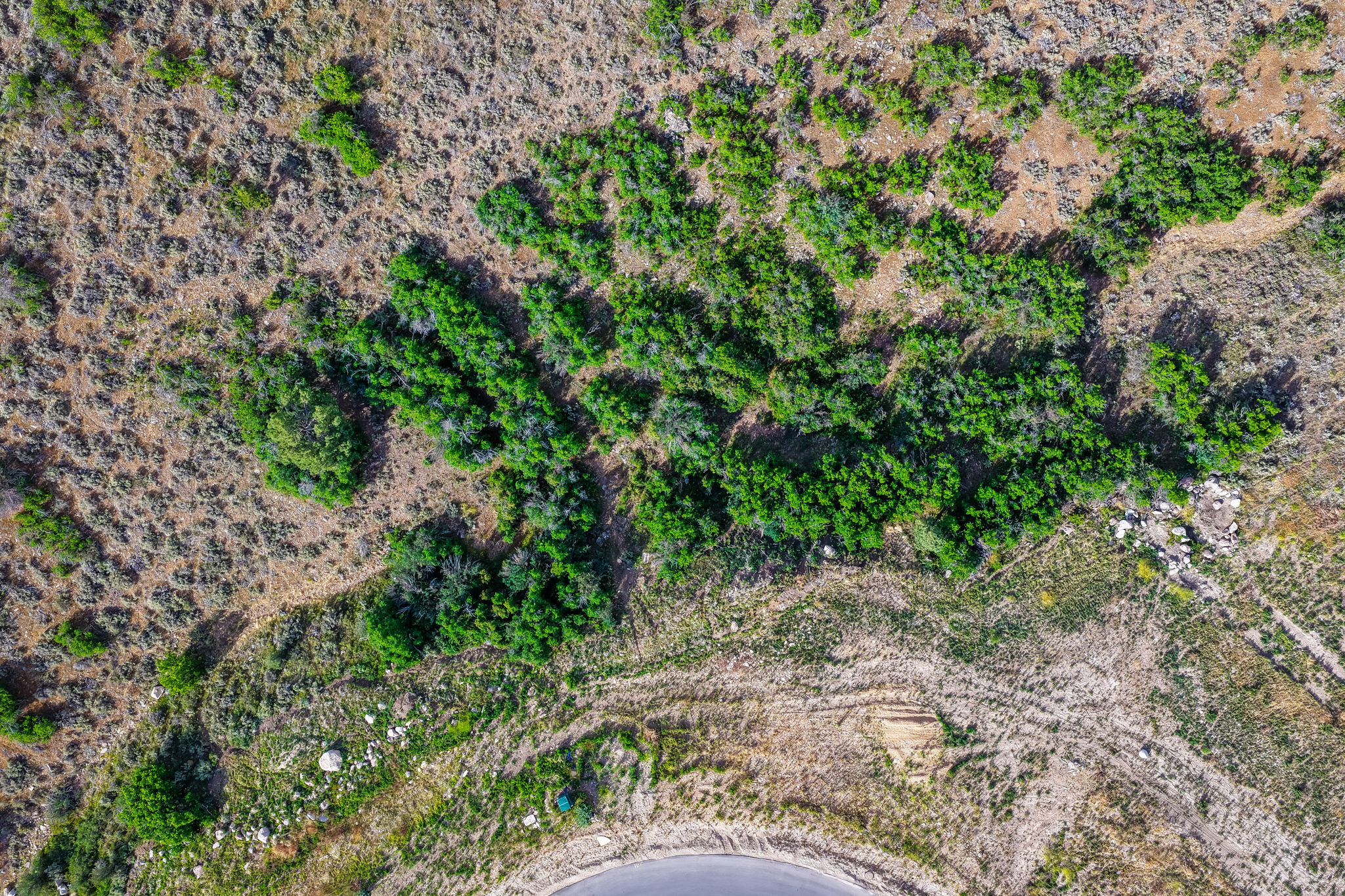 Natural landscape featuring varied vegetation, earthy tones, and a paved road segment
