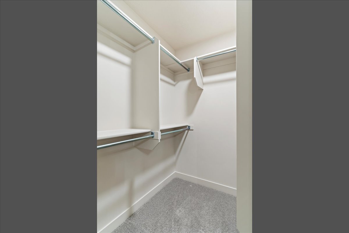 Walk-in closet featuring light-toned walls, built-in shelving, chrome hanging rods, and grey carpet flooring