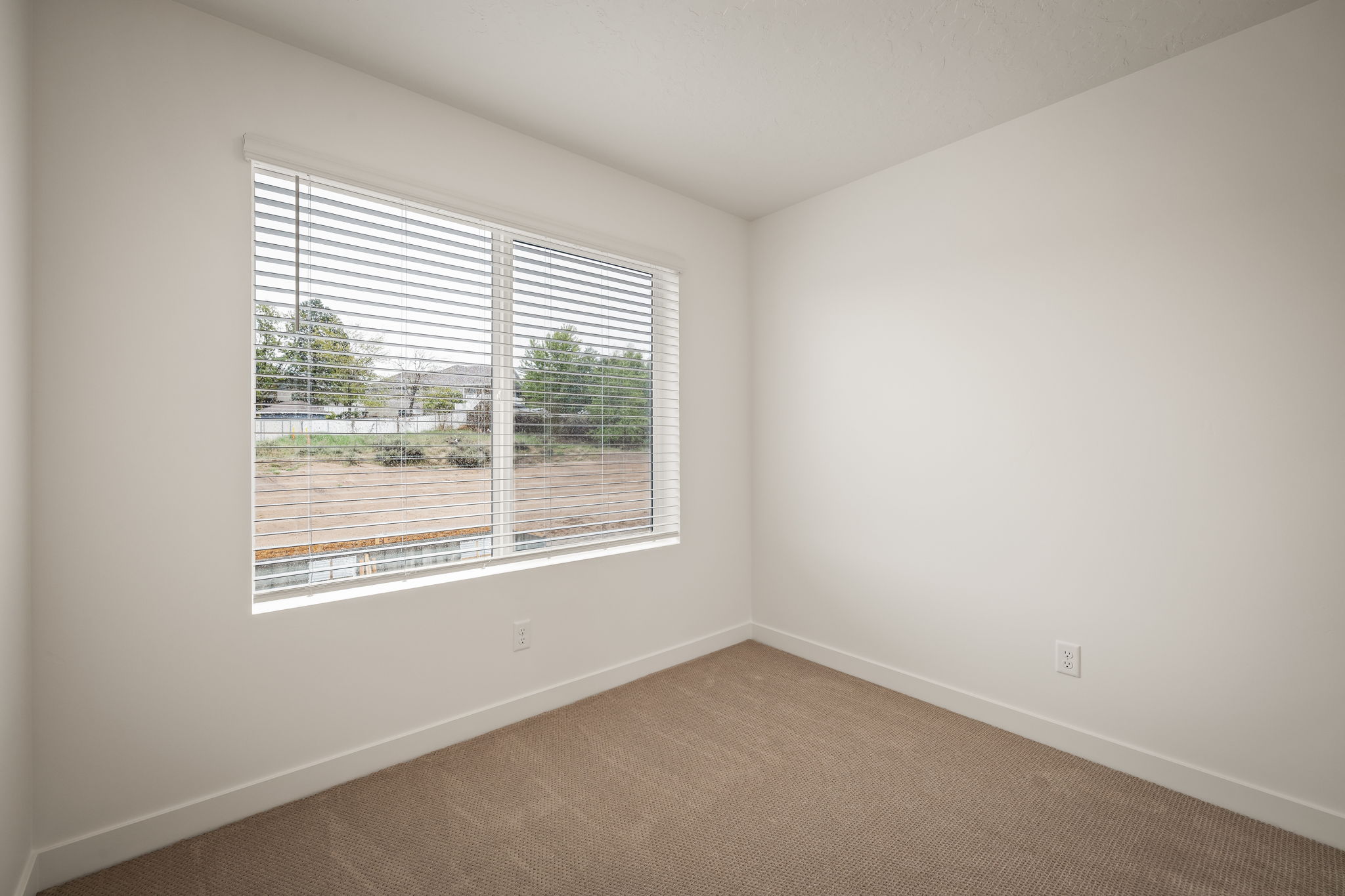 Bright room featuring a large window with horizontal blinds, neutral carpet flooring, white walls, and white baseboards