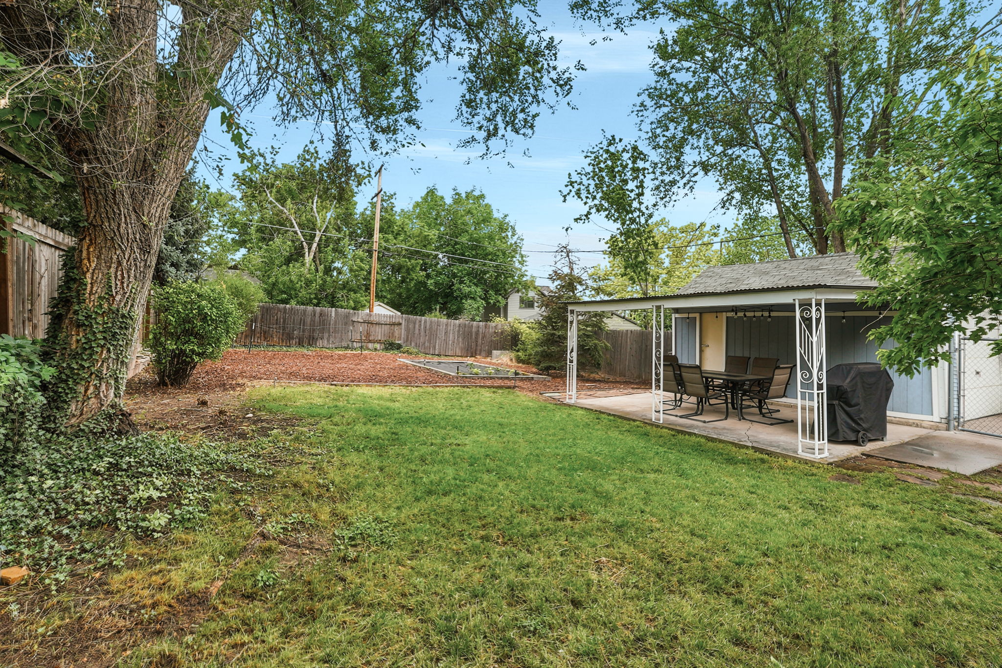 Expansive backyard with a lush lawn, mature trees, and a covered patio area