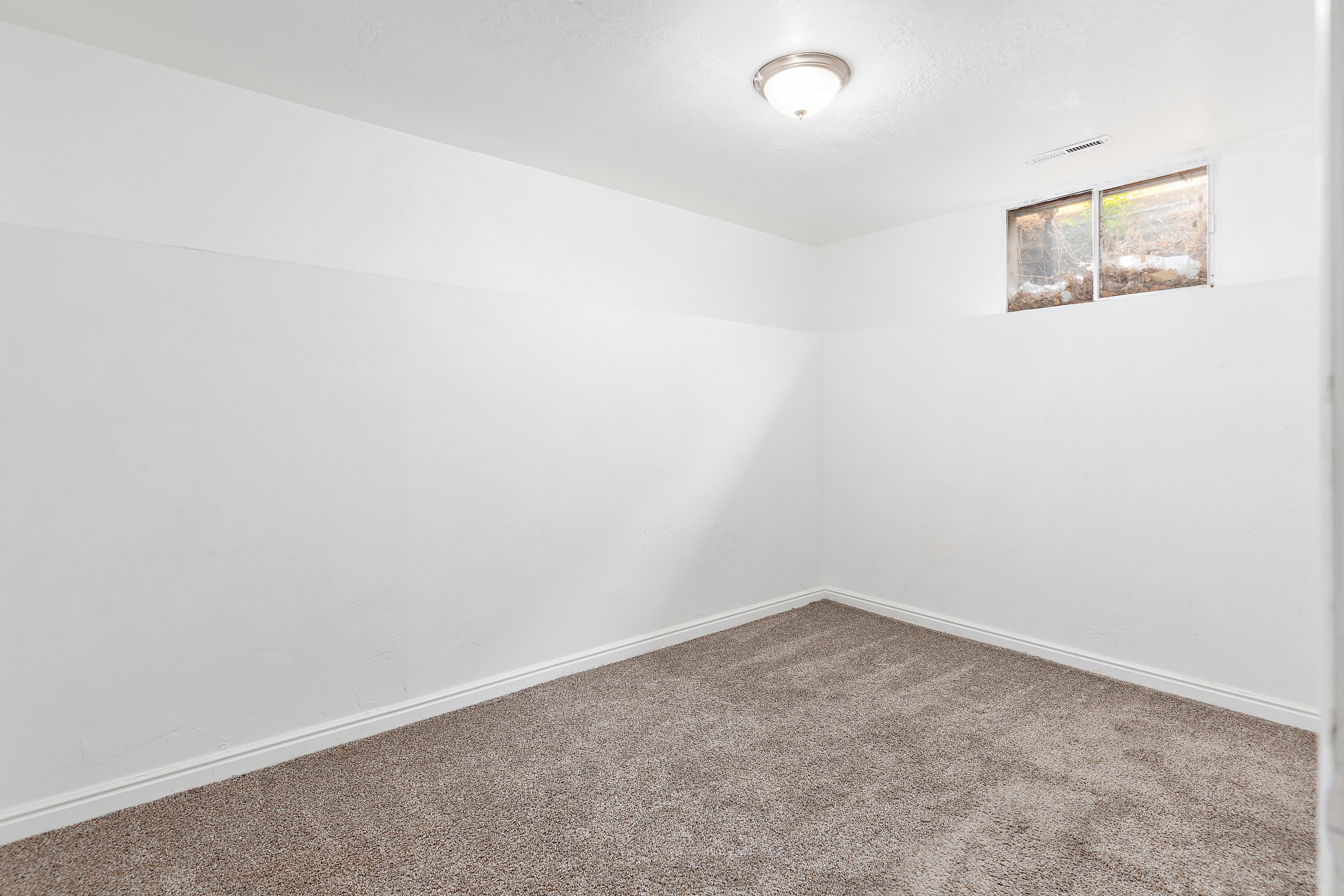 Carpeted room with white walls, a flush-mount ceiling light, and a single window