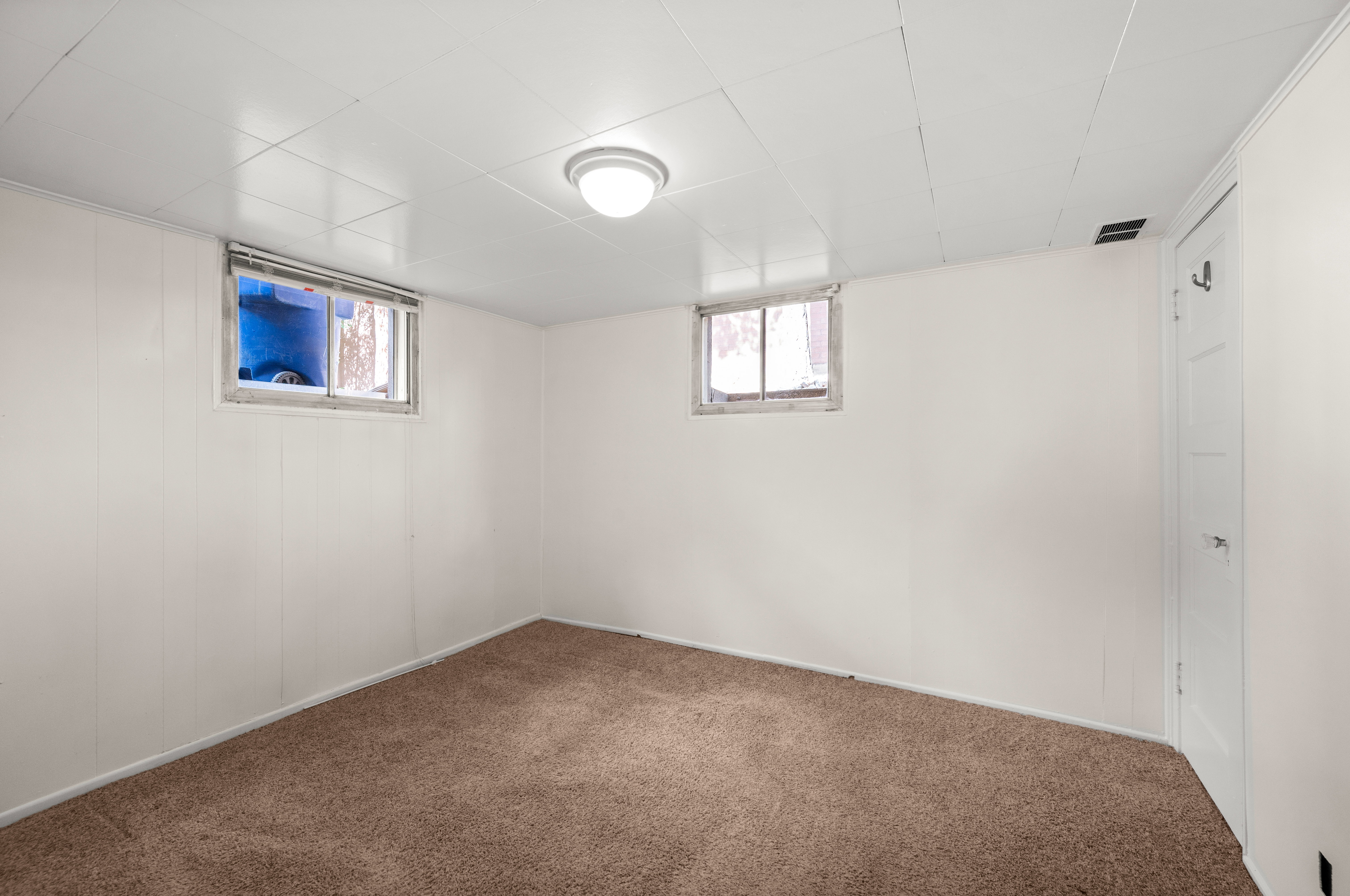 Room featuring white paneling walls, neutral carpet flooring, two basement windows, a ceiling-mounted light fixture, and a white door with panel detailing