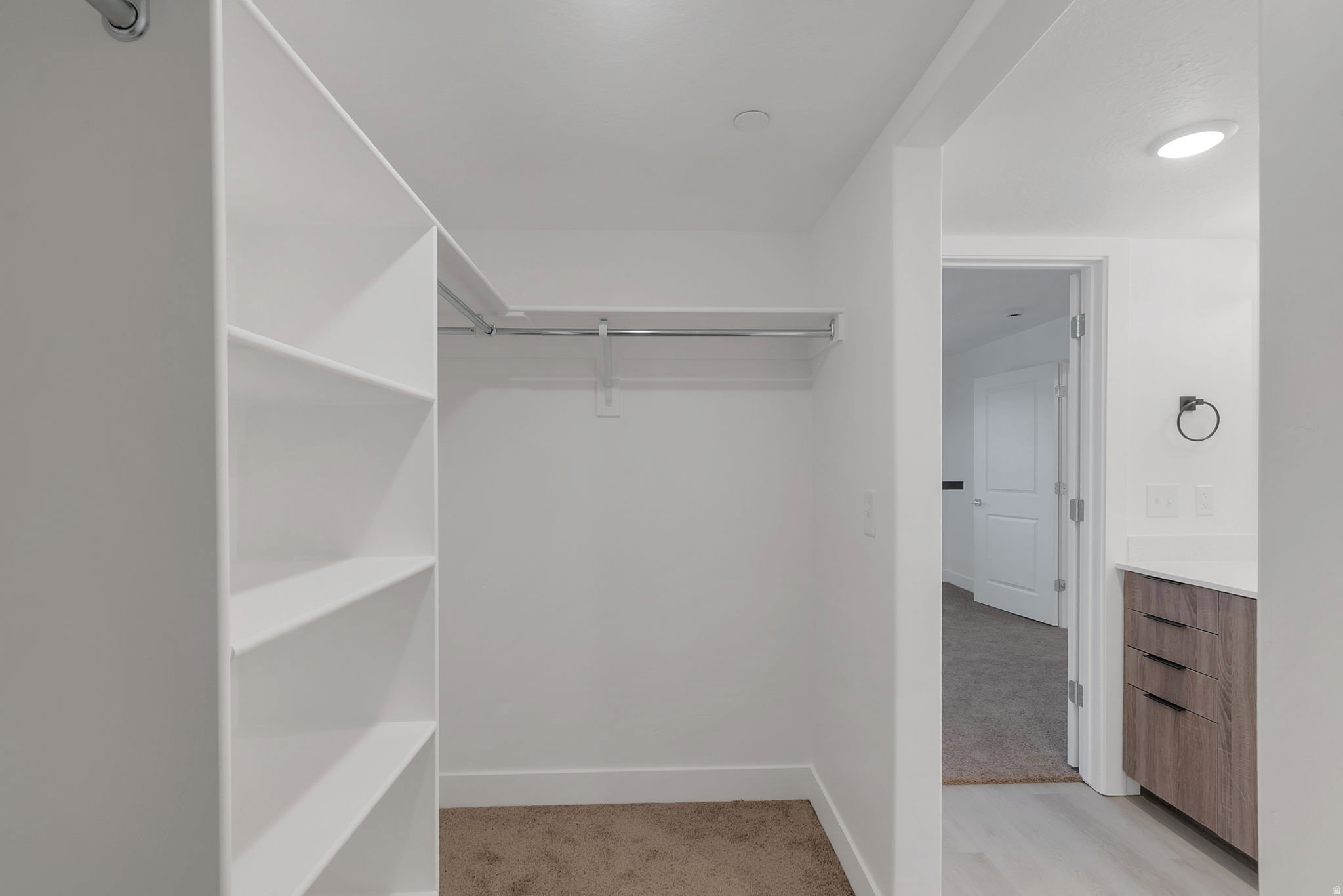 Walk-in closet featuring white shelving, a chrome hanging rod, and neutral-toned carpeting