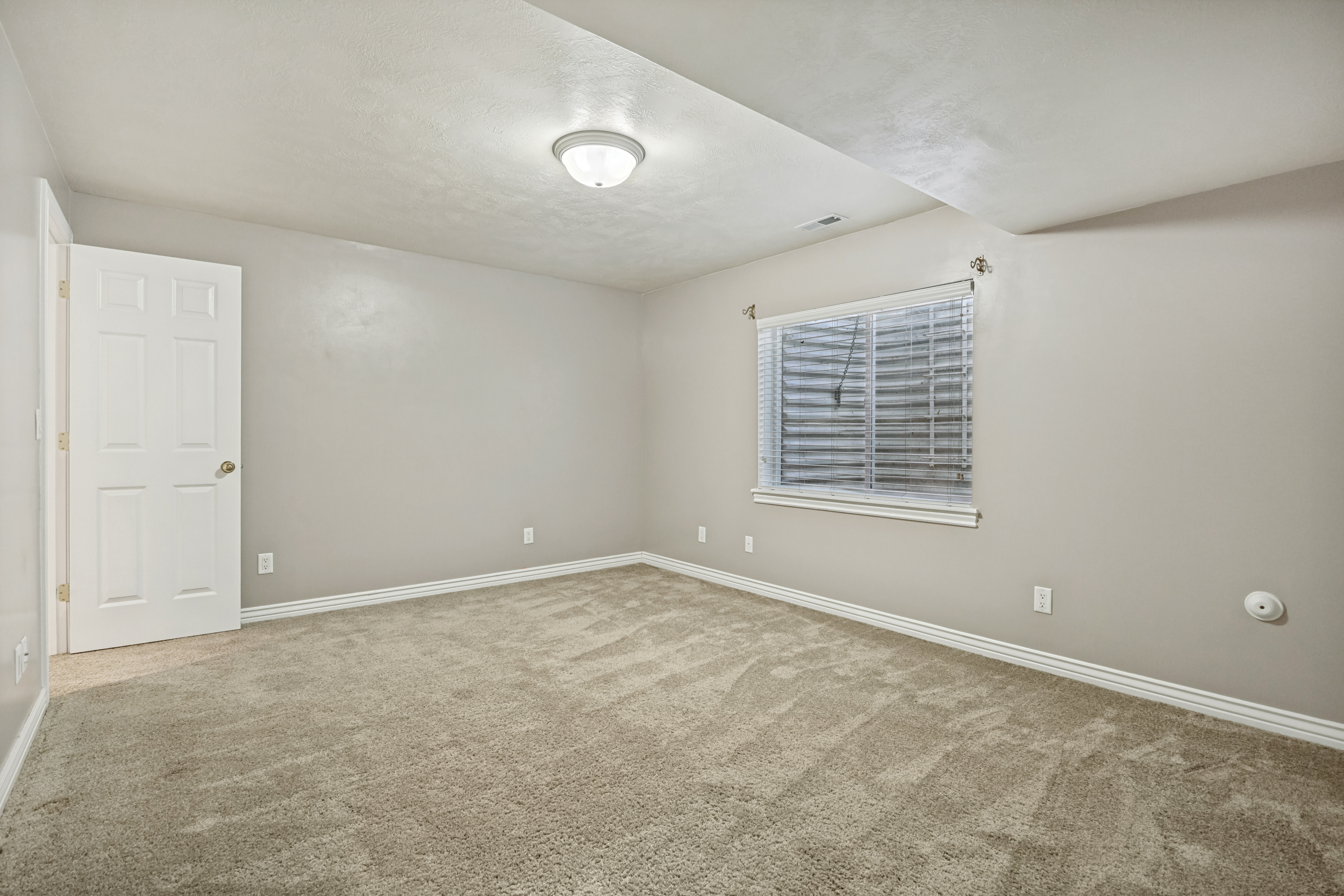 Spacious Basement bedroom 1 with walk-in closet
