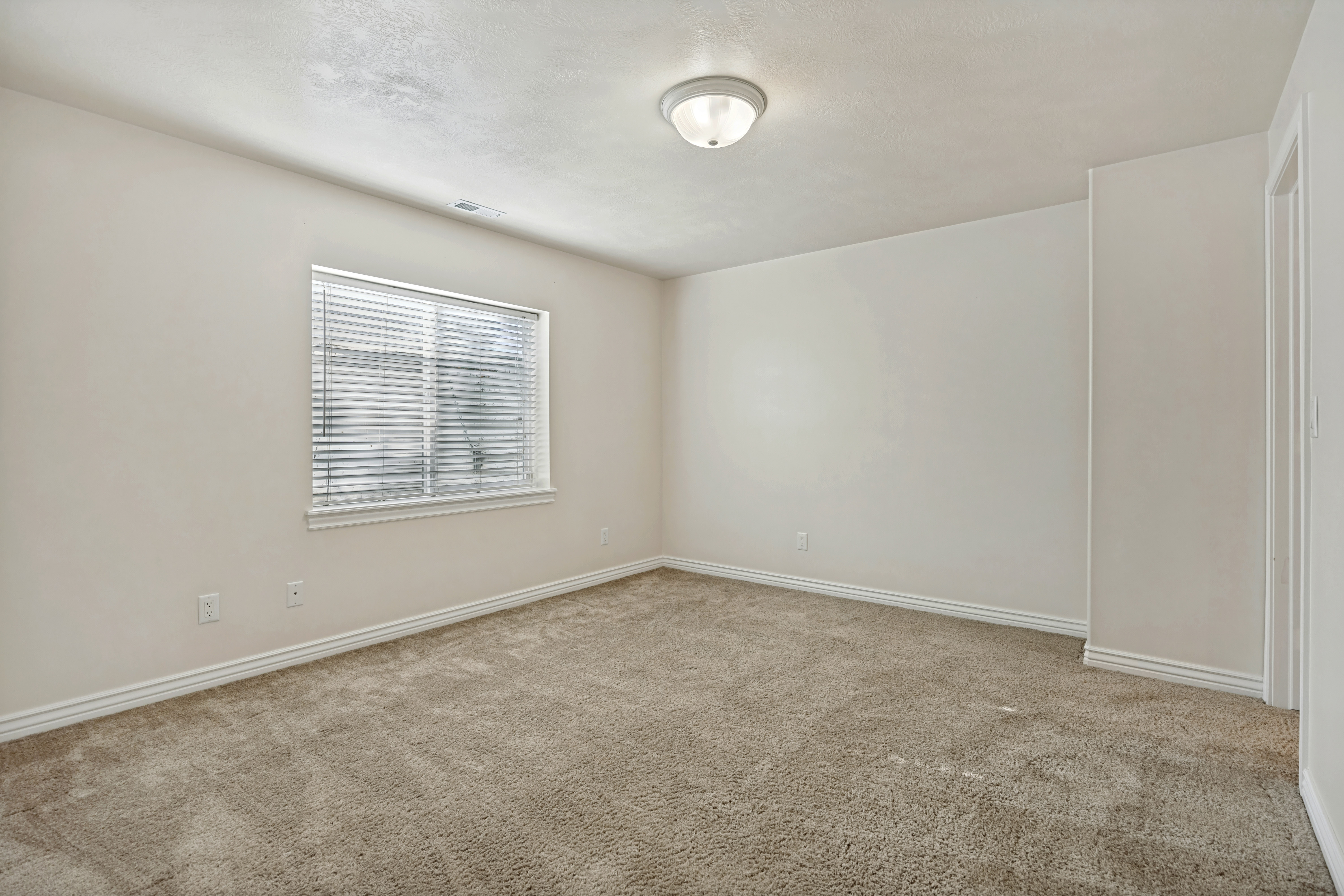 Spacious Basement Bedroom 2 with walk-in closet.