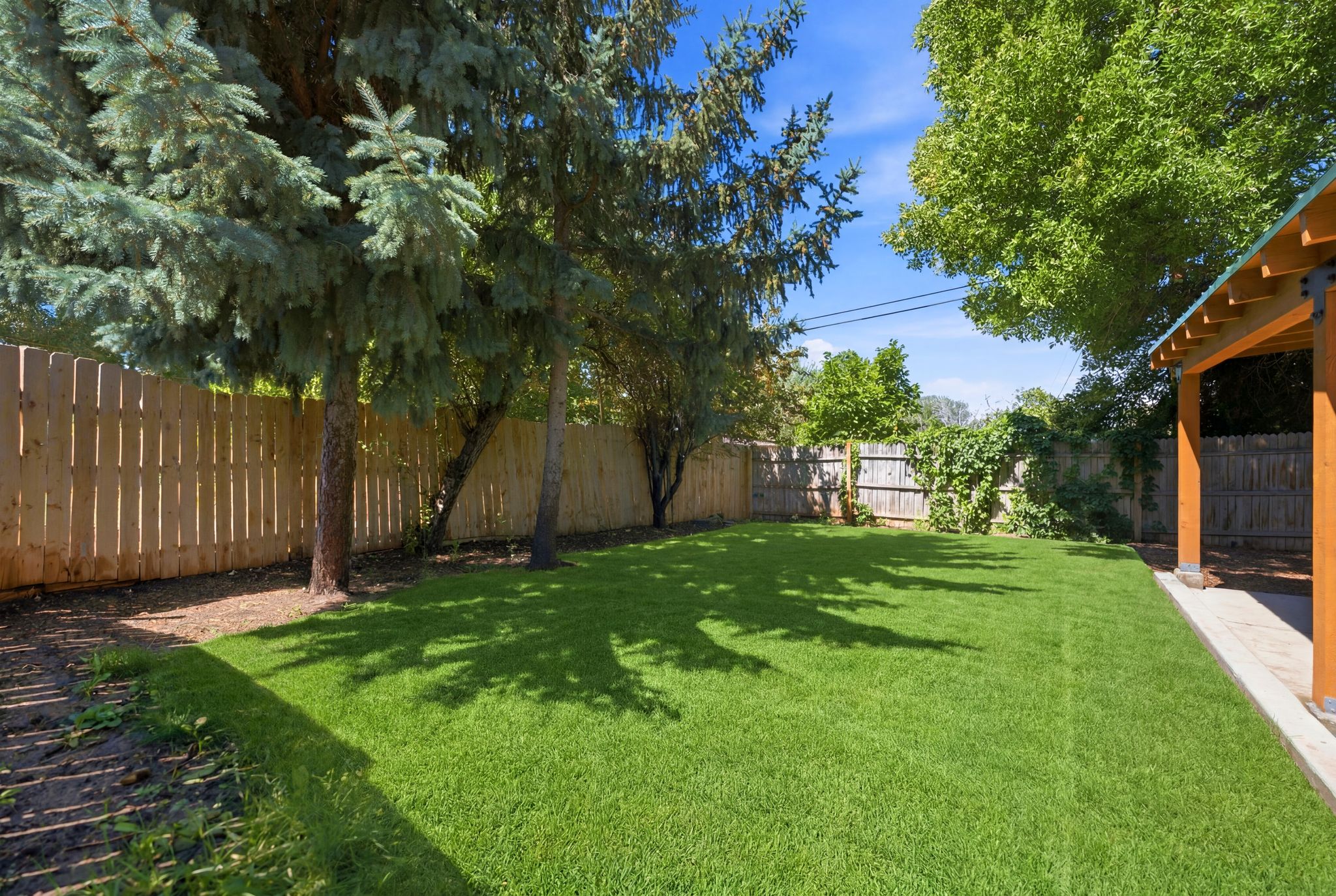 Expansive backyard featuring a lush lawn, mature trees providing natural shade, and a wood privacy fence