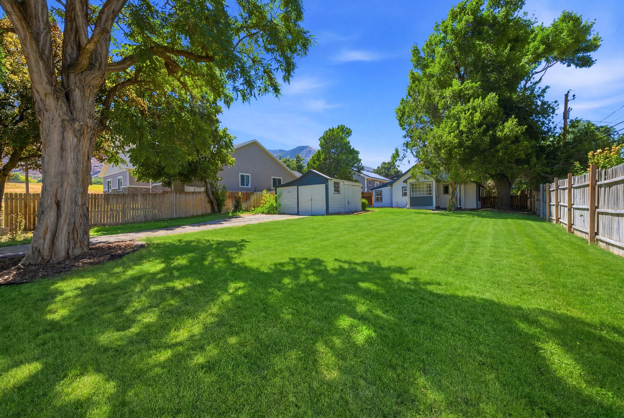 Expansive fenced backyard featuring a substantial lawn and mature trees