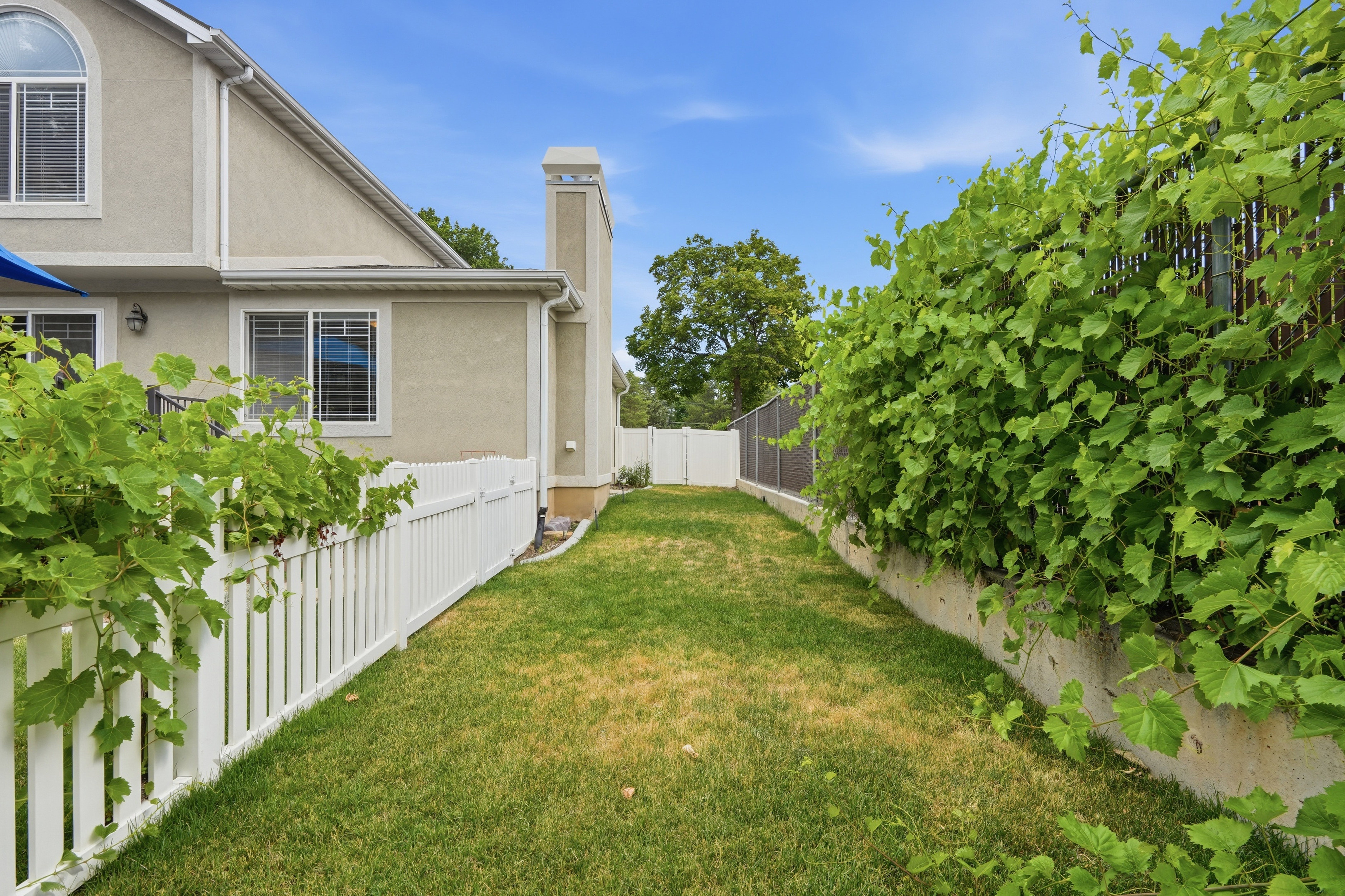 Manicured lawn area with a white picket fence and established green foliage