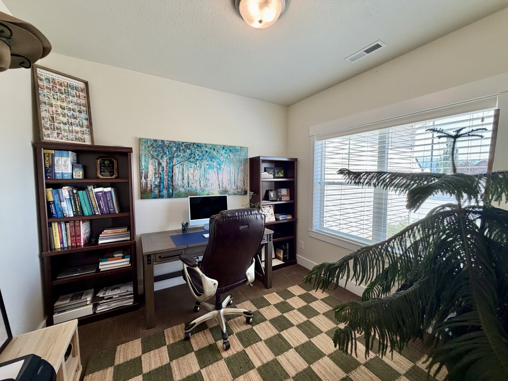 Room featuring a large window with horizontal blinds, built-in ceiling light fixture, and two dark wood-finish bookcases