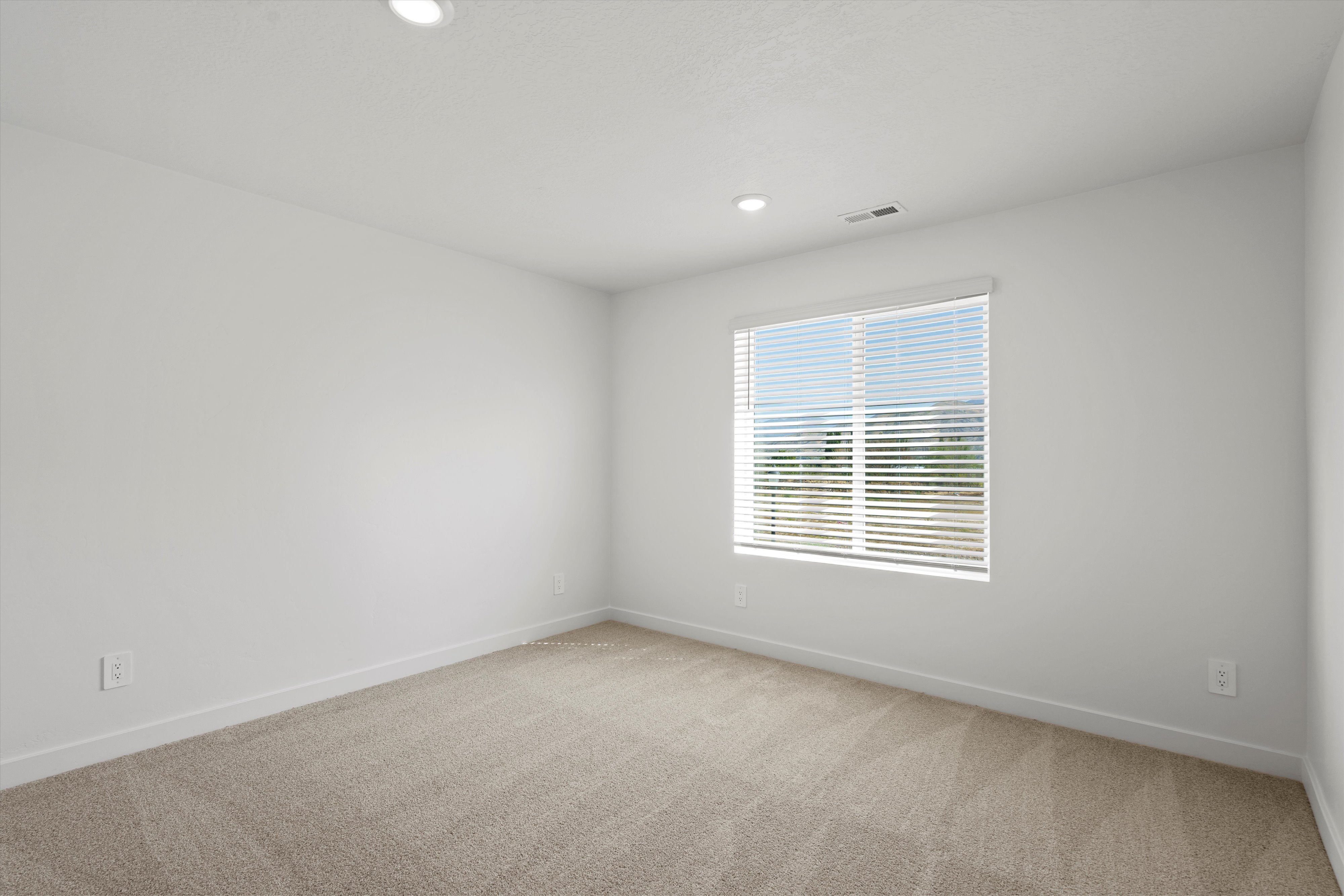 Bright room featuring neutral carpeting and white painted walls