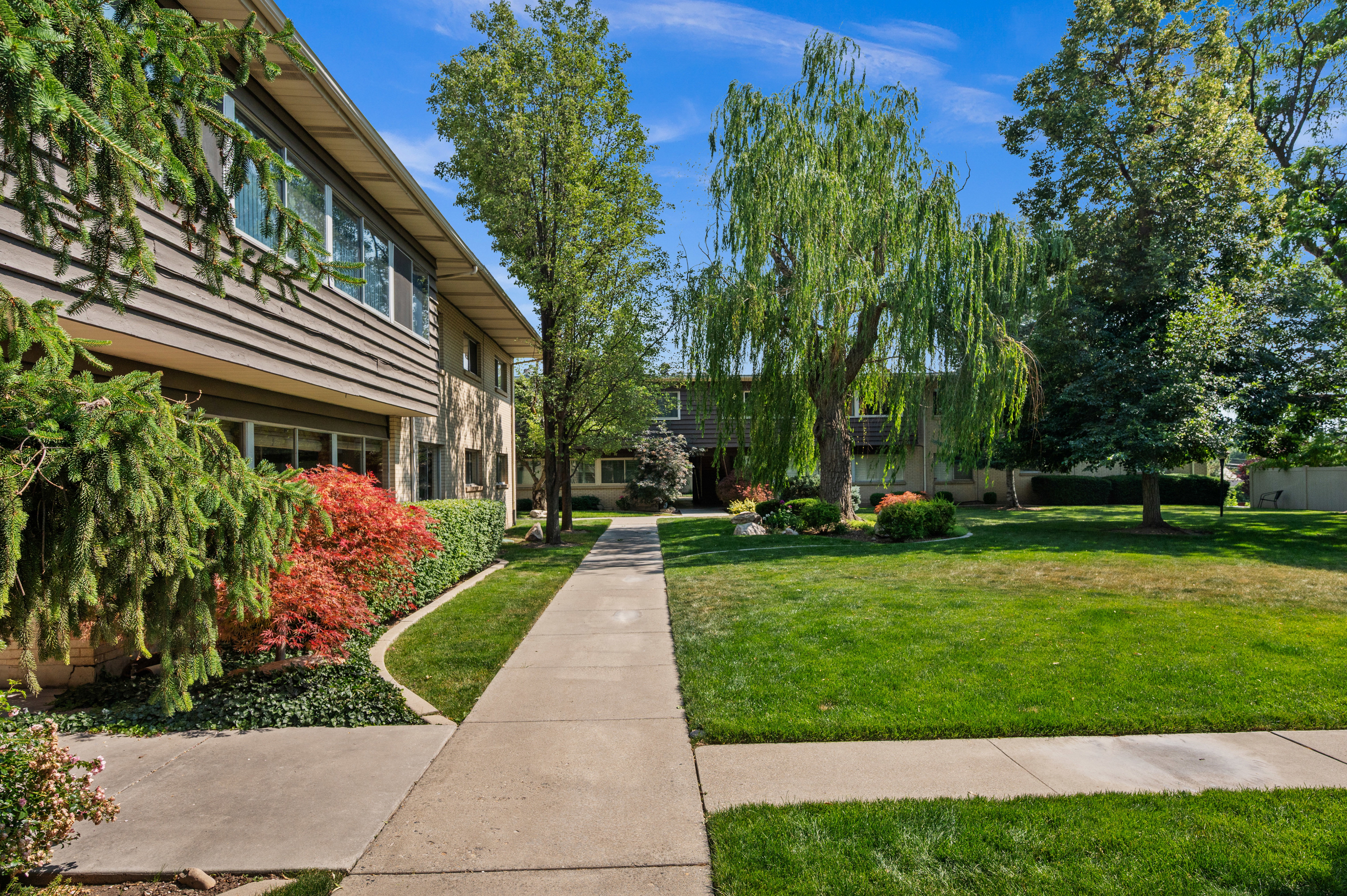 Landscaped grounds featuring a concrete walkway and mature trees