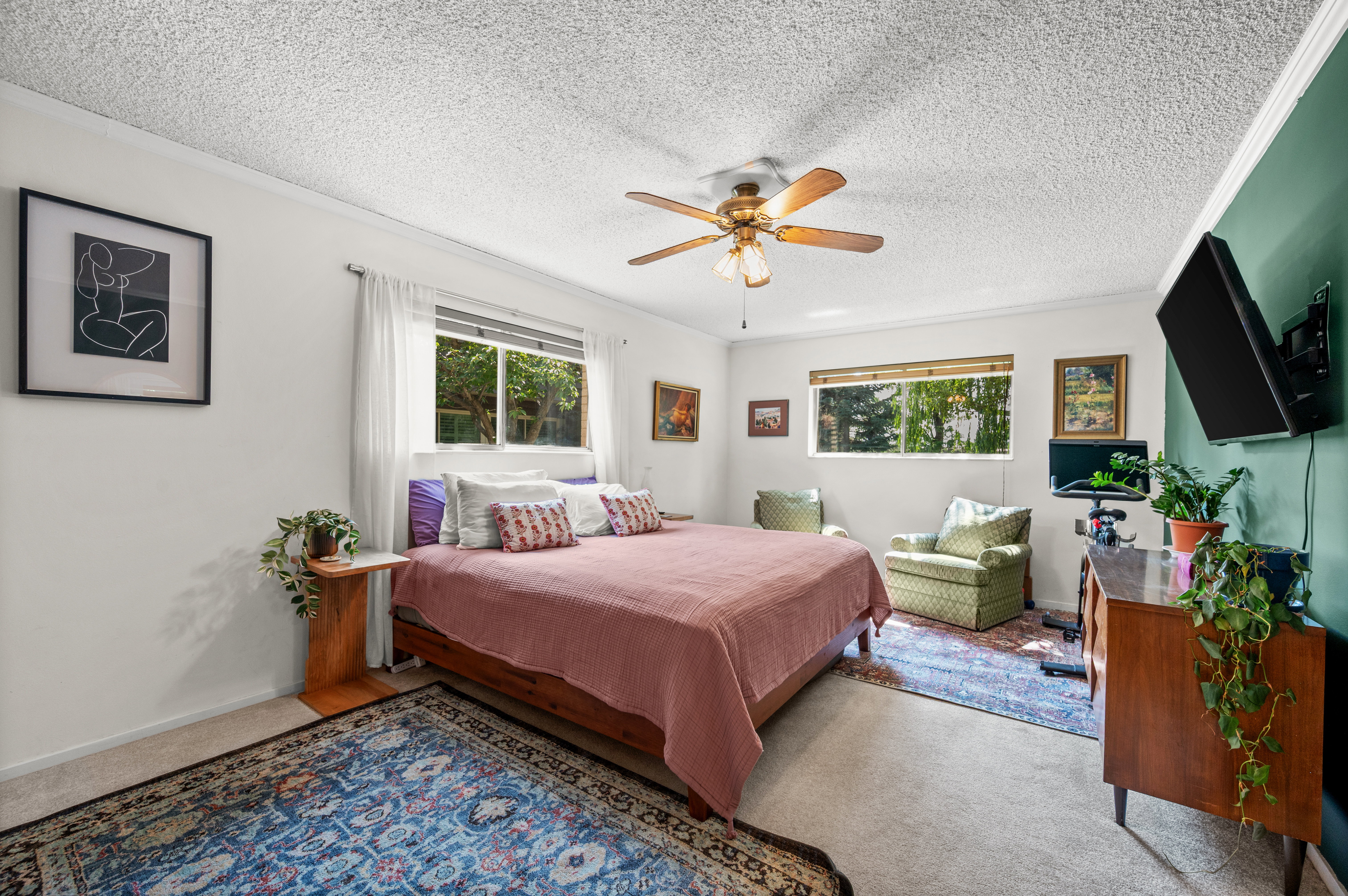 Spacious room featuring white walls and a contrasting accent wall, multiple windows, a ceiling fan, and carpet flooring
