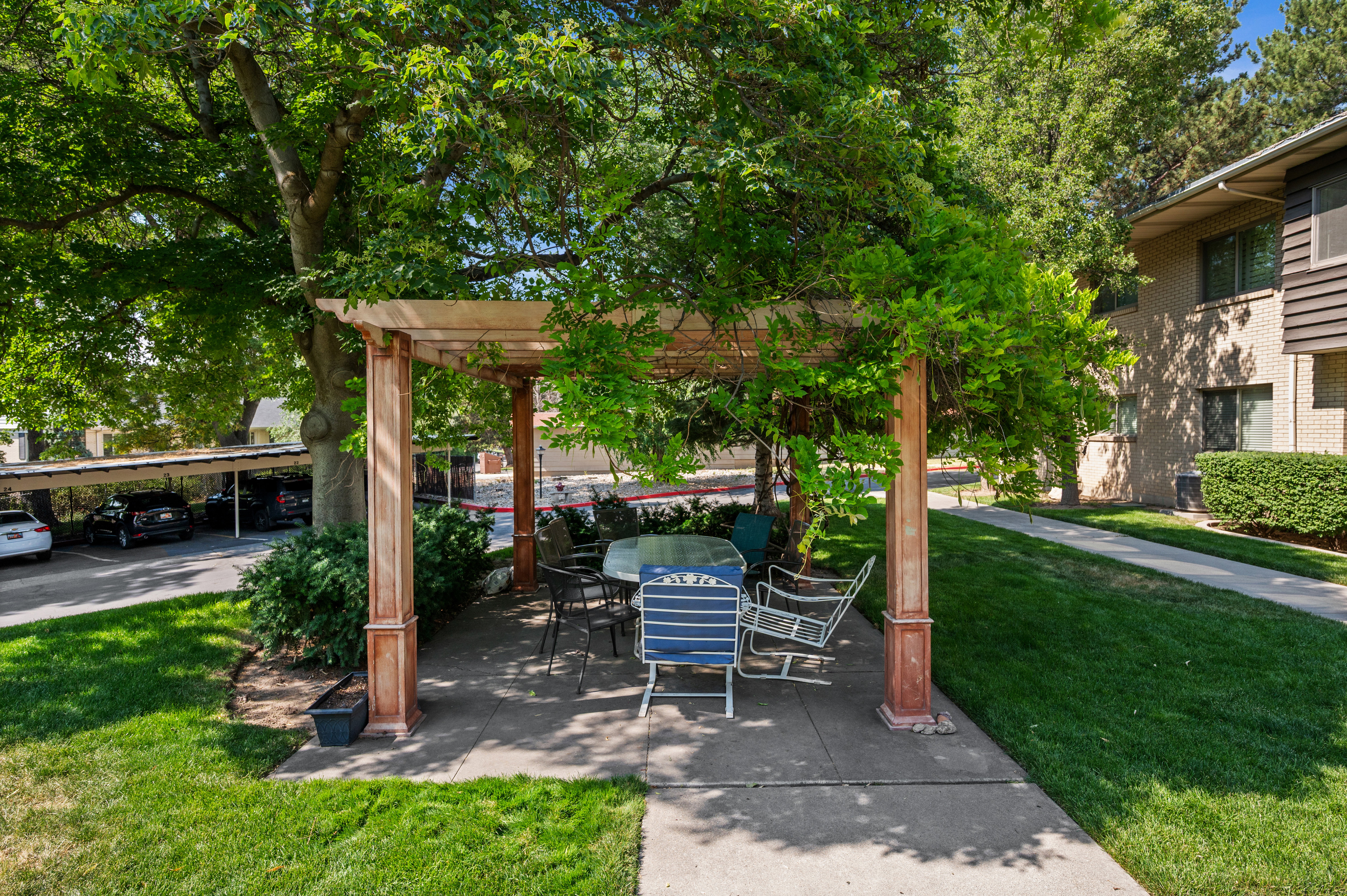 Outdoor patio area featuring a pergola with lush greenery and a concrete slab foundation