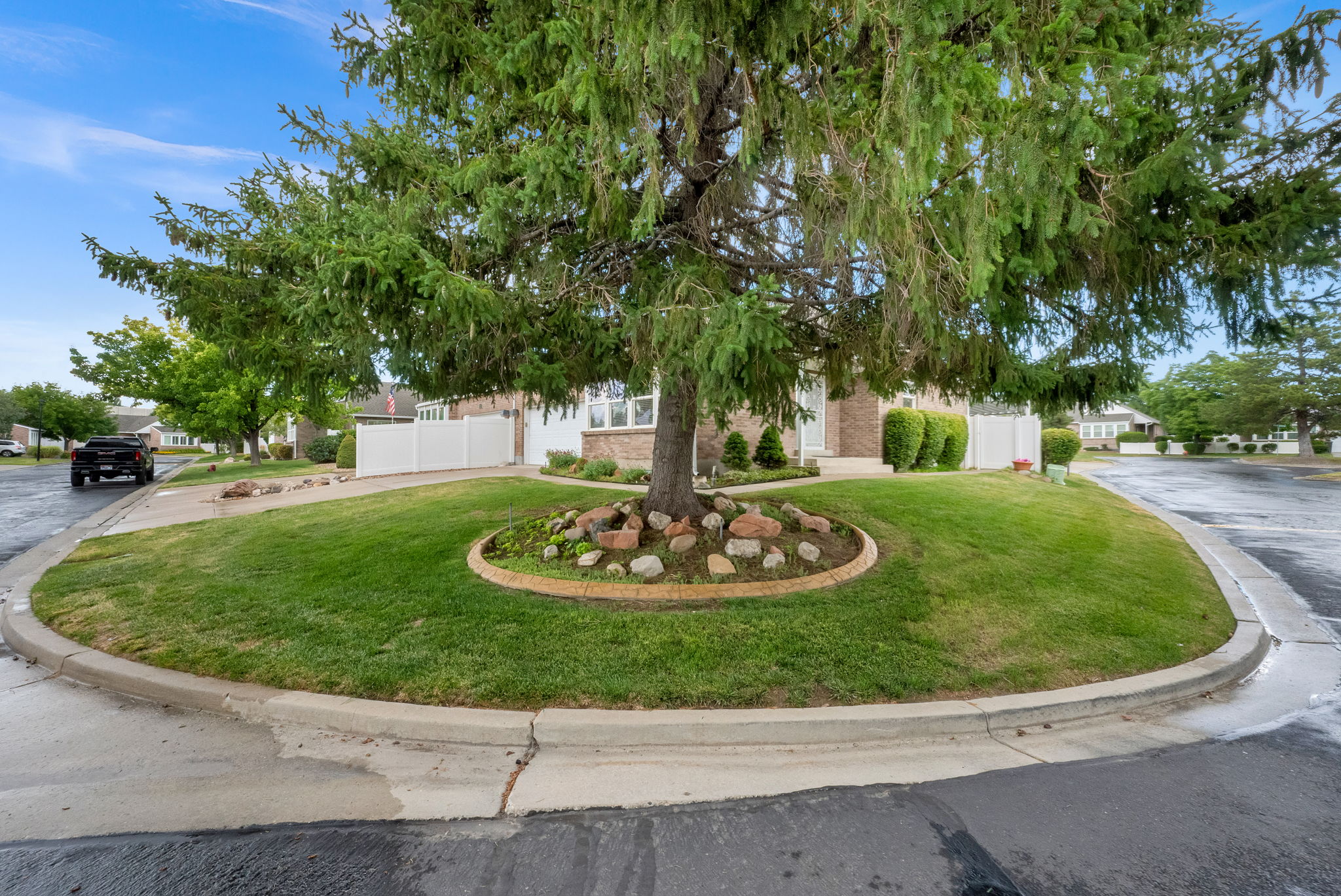 Mature evergreen tree with a stone-edged planting bed, surrounded by manicured lawn and a curved concrete driveway