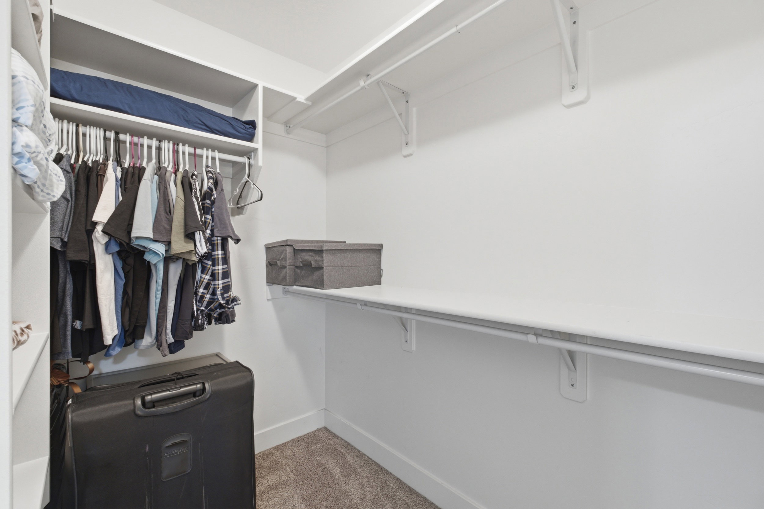 Spacious walk-in closet featuring white built-in shelving, hanging rods, and light gray carpeted flooring
