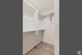 Walk-in closet featuring built-in shelving, multiple hanging rods, and neutral-toned carpeting