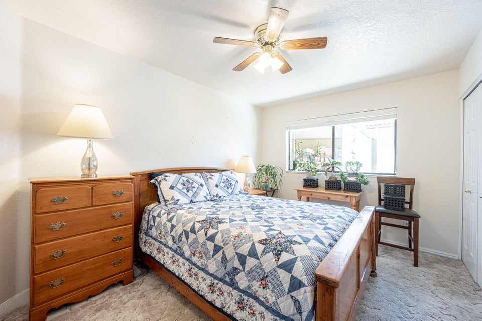 Bright bedroom featuring a large window, a ceiling fan, and light-toned walls