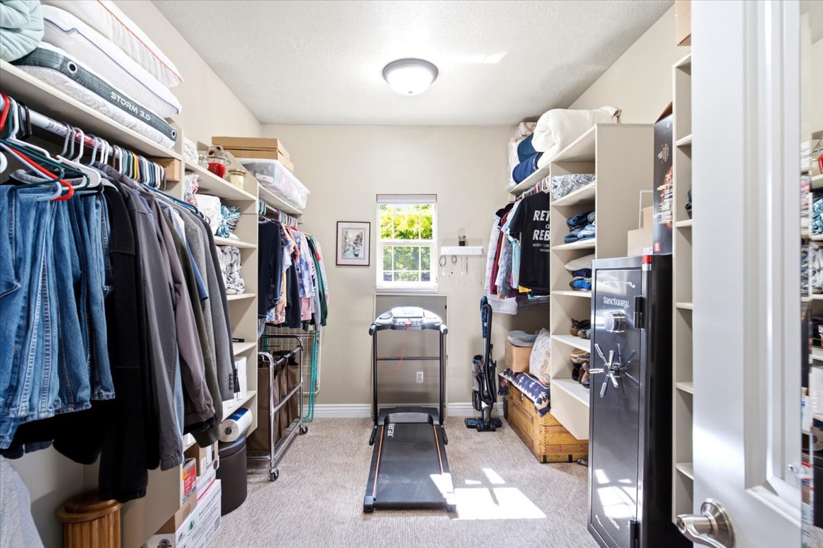 Spacious walk-in closet featuring extensive built-in shelving, hanging rods, carpet flooring, a single window, and a ceiling-mounted light fixture