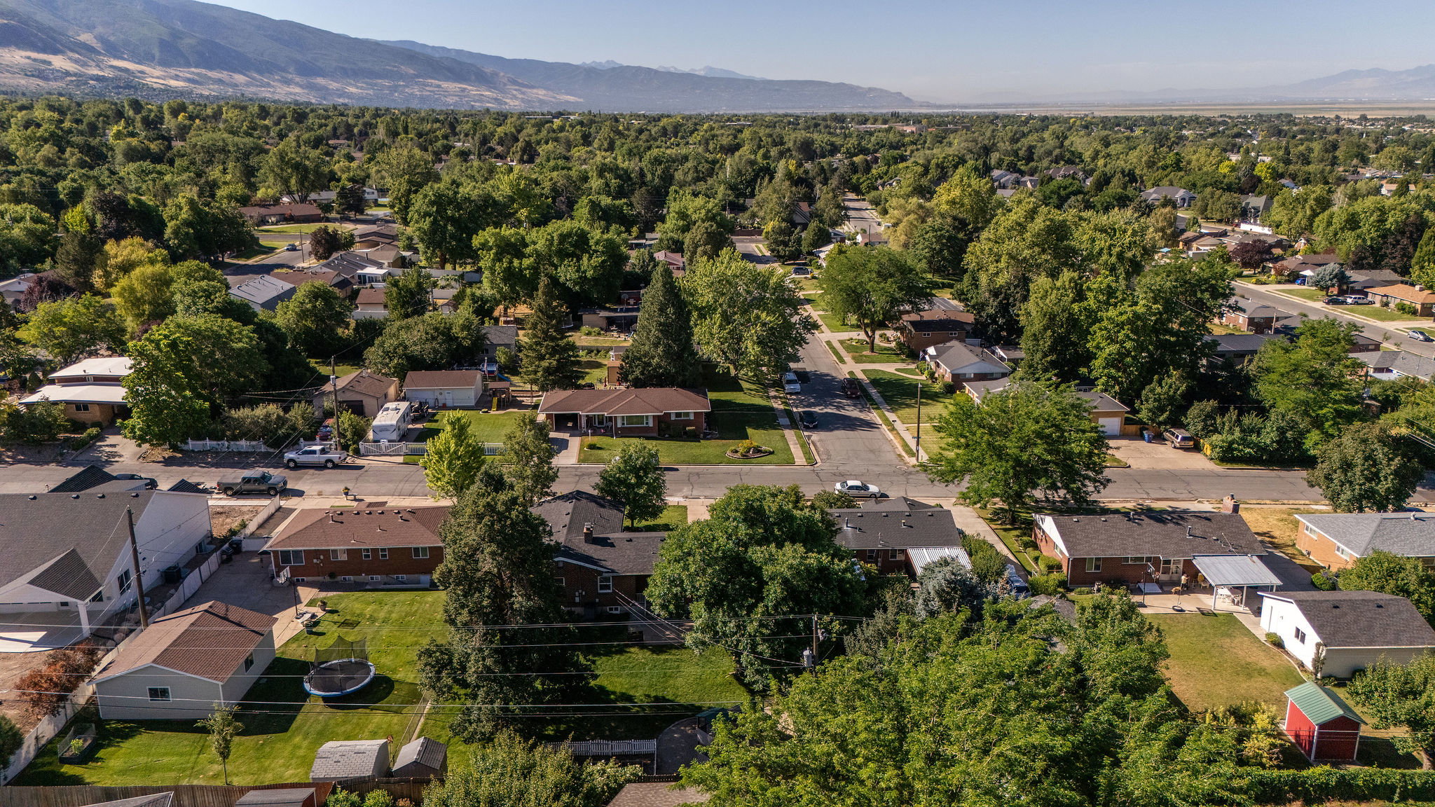 Expansive neighborhood aerial featuring numerous residential properties, mature tree canopy, paved streets, and distant mountain ranges