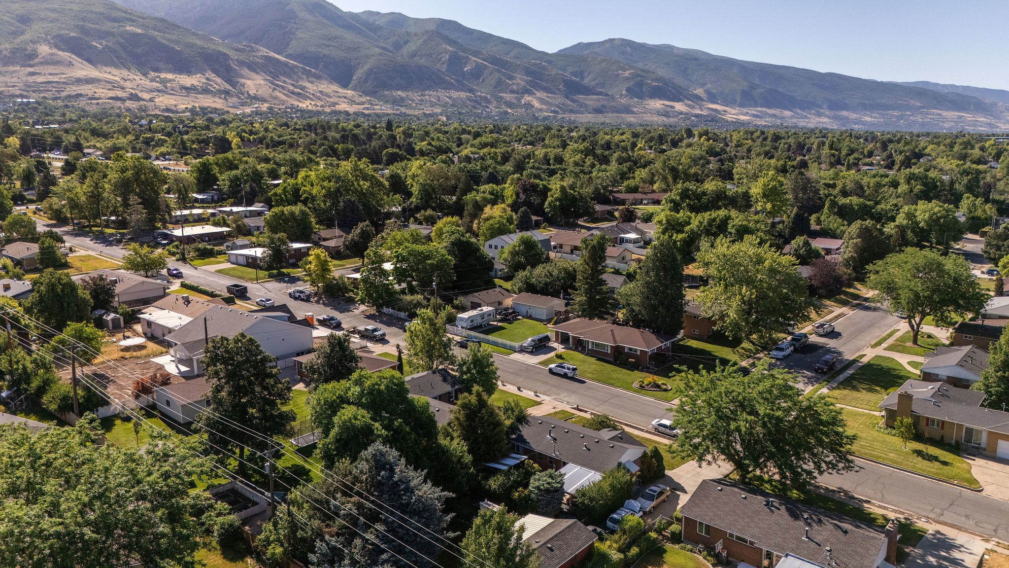 Expansive residential area featuring mature tree-lined streets and mountain backdrops