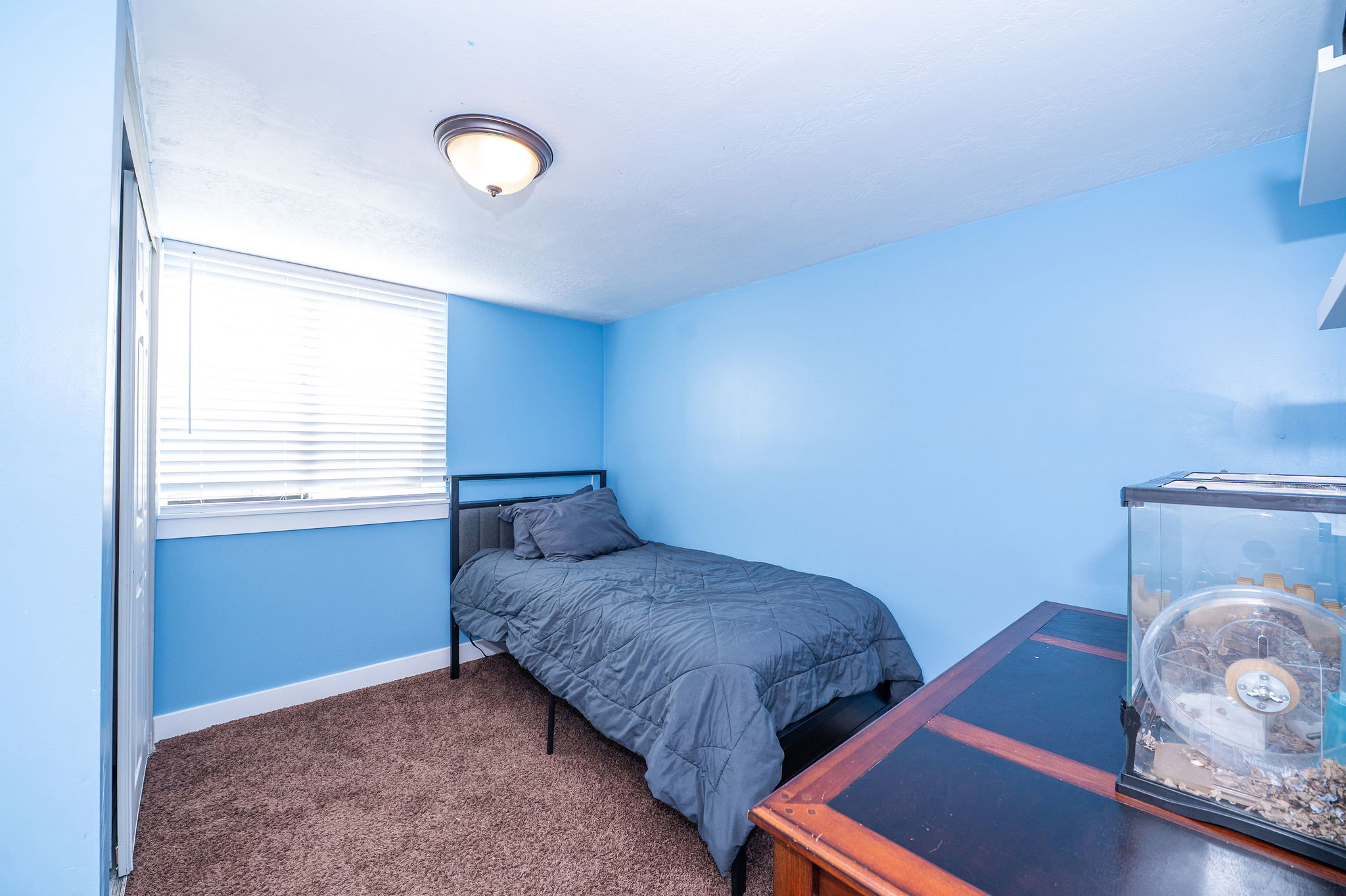 Room featuring a window with white blinds, a semi-flush mount ceiling light, brown carpet flooring, and white trim