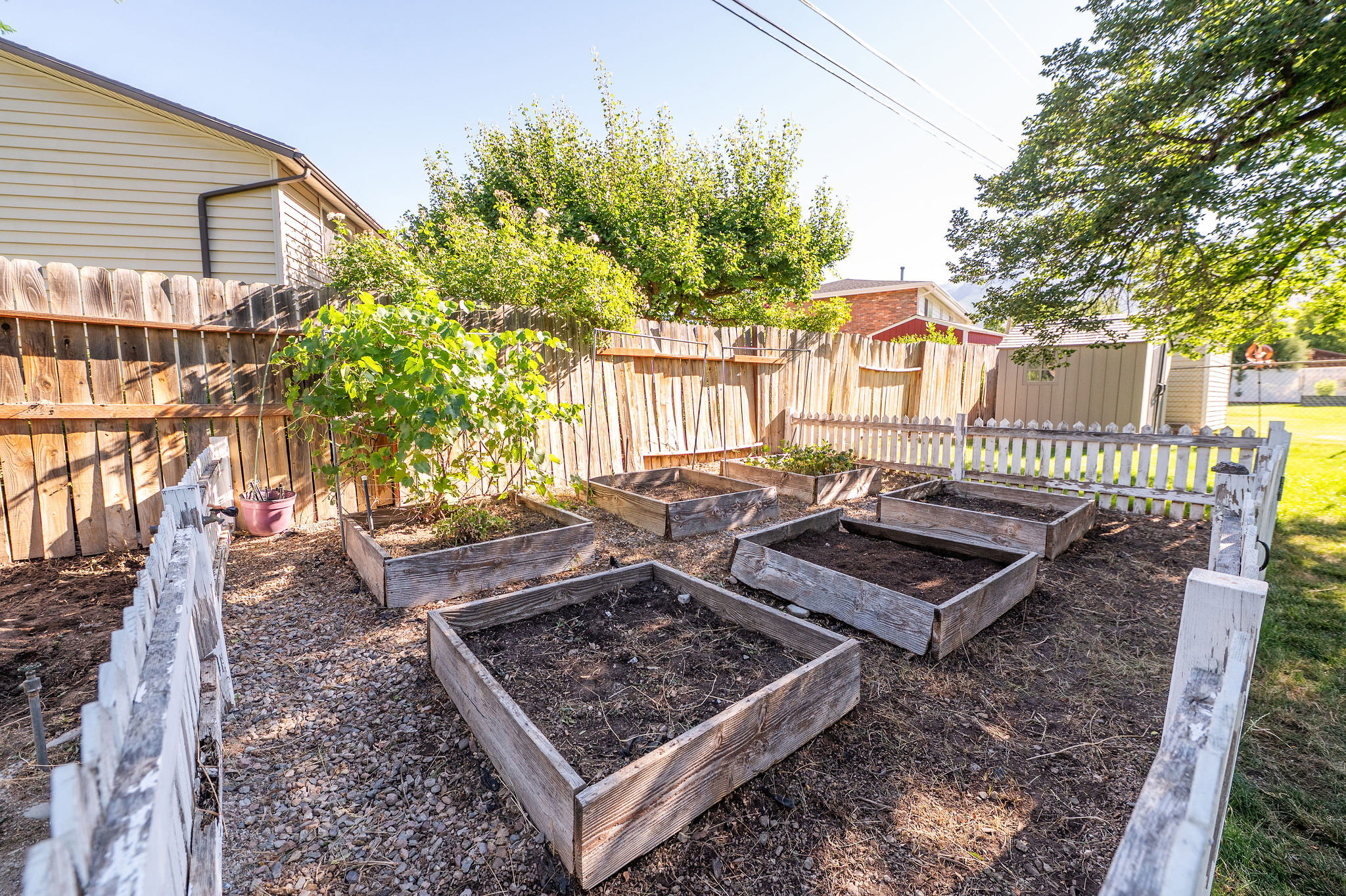 Yard