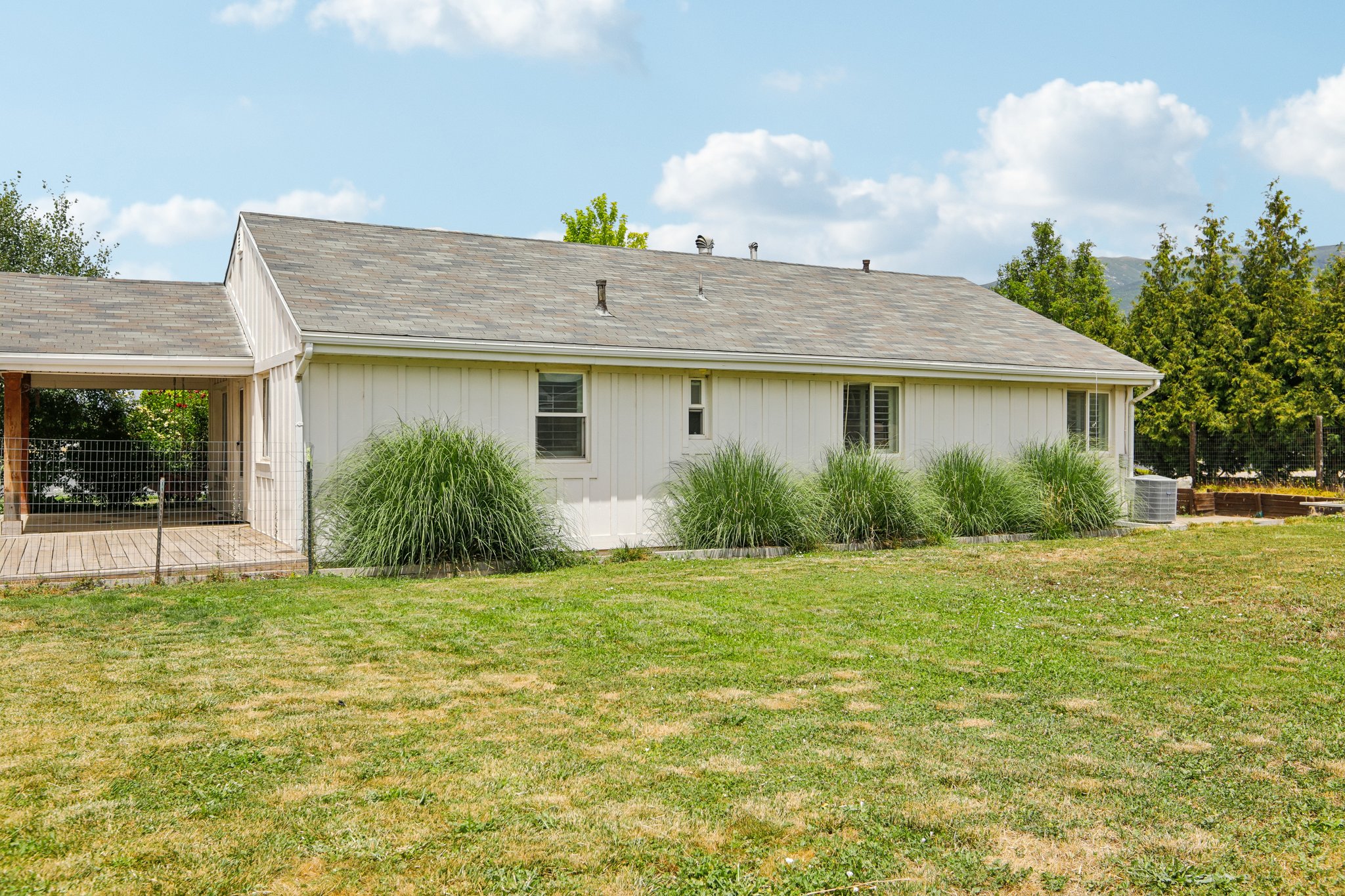 Expansive rear yard featuring a covered wooden deck, white exterior siding, multiple windows, and decorative planted grasses
