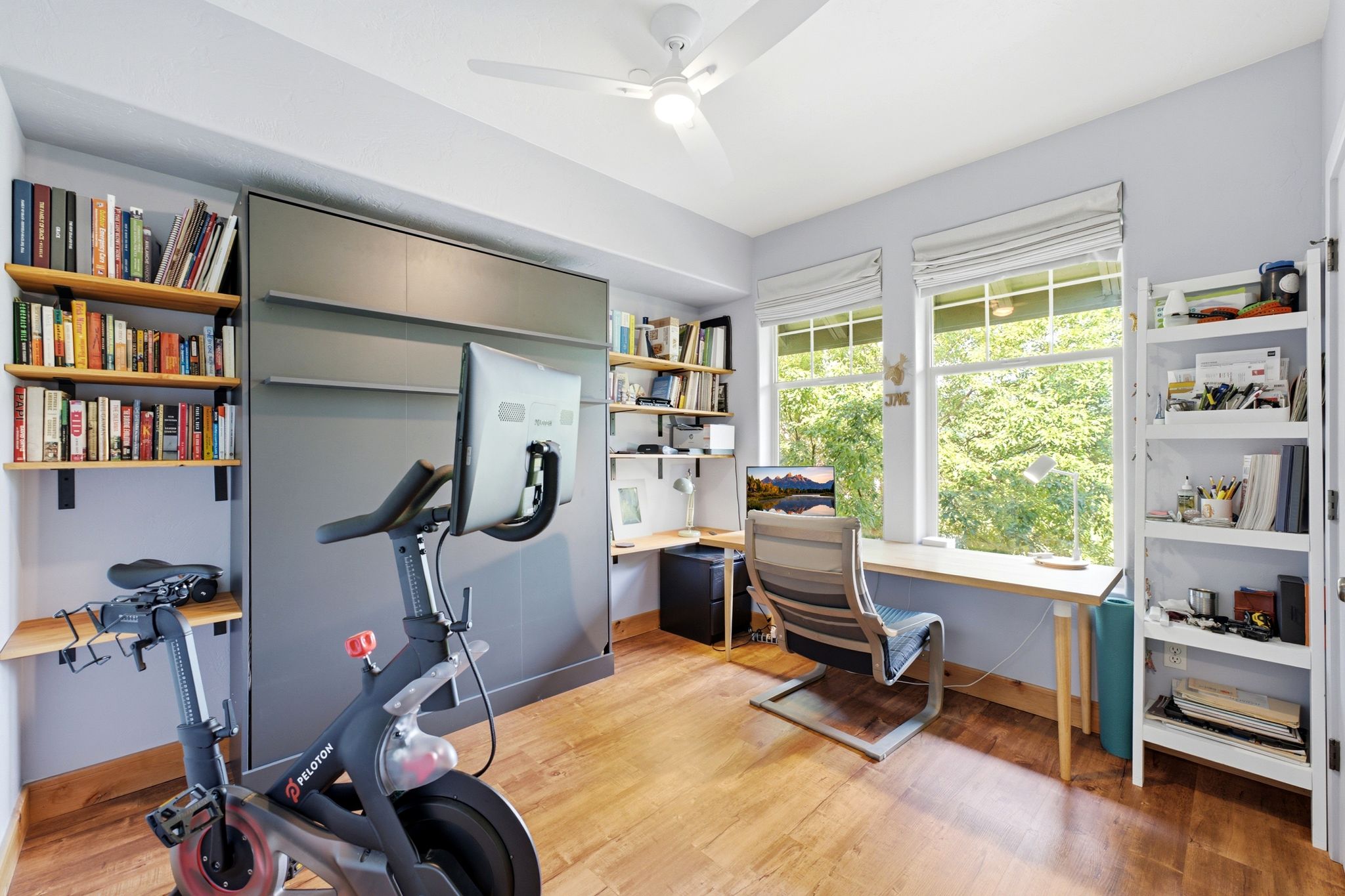 Bright interior space featuring wood-finish flooring, a ceiling fan, and two large windows with roman shades
