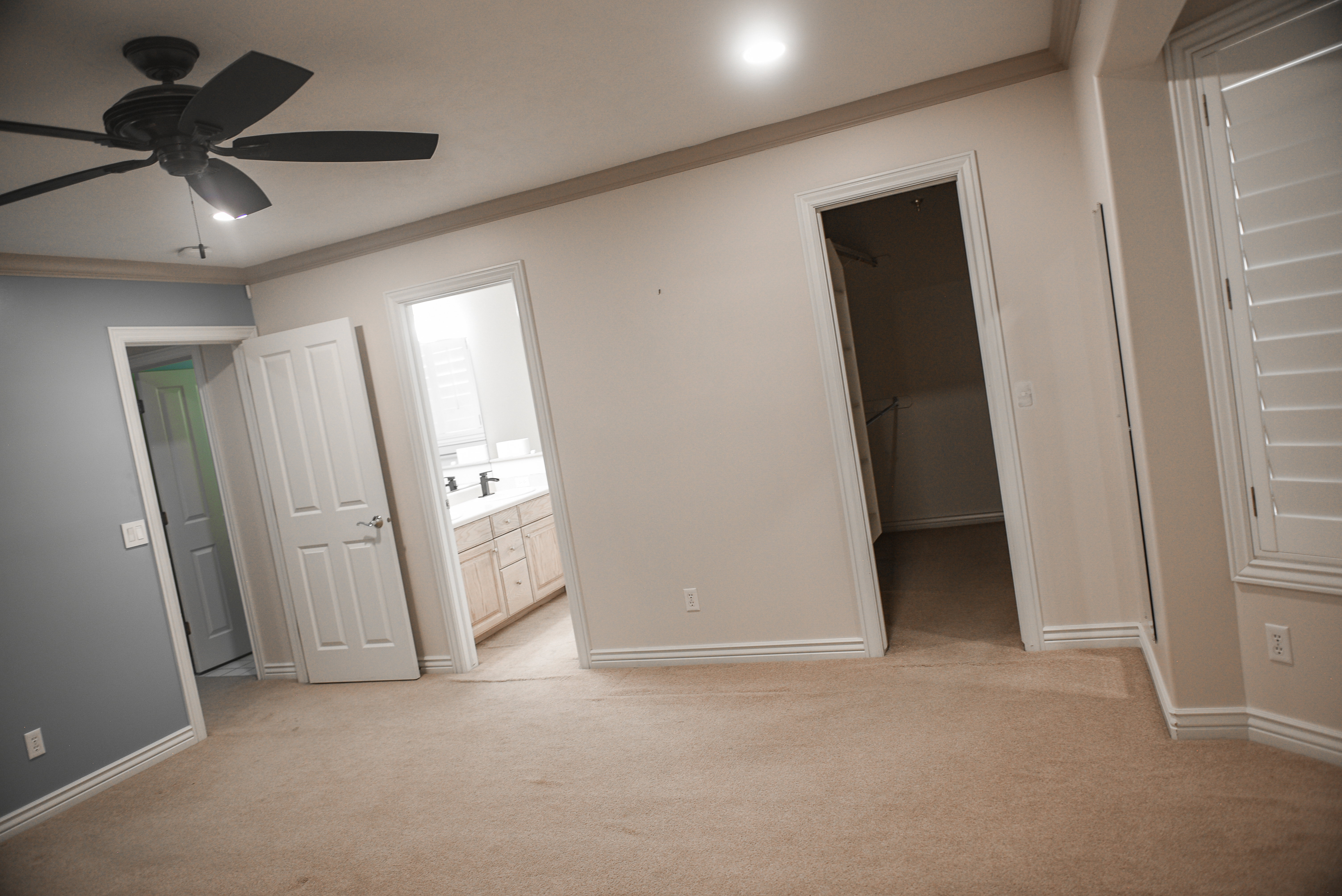 Carpeted room with crown molding and white baseboards