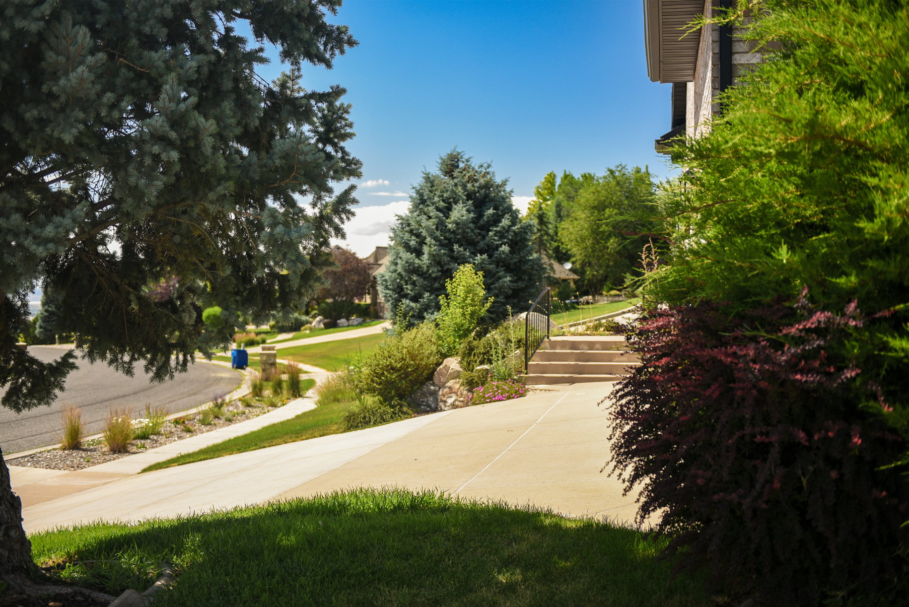 Concrete pathway leading to stone steps with a metal handrail, surrounded by mature evergreen trees and diverse shrubbery, all under a clear sky