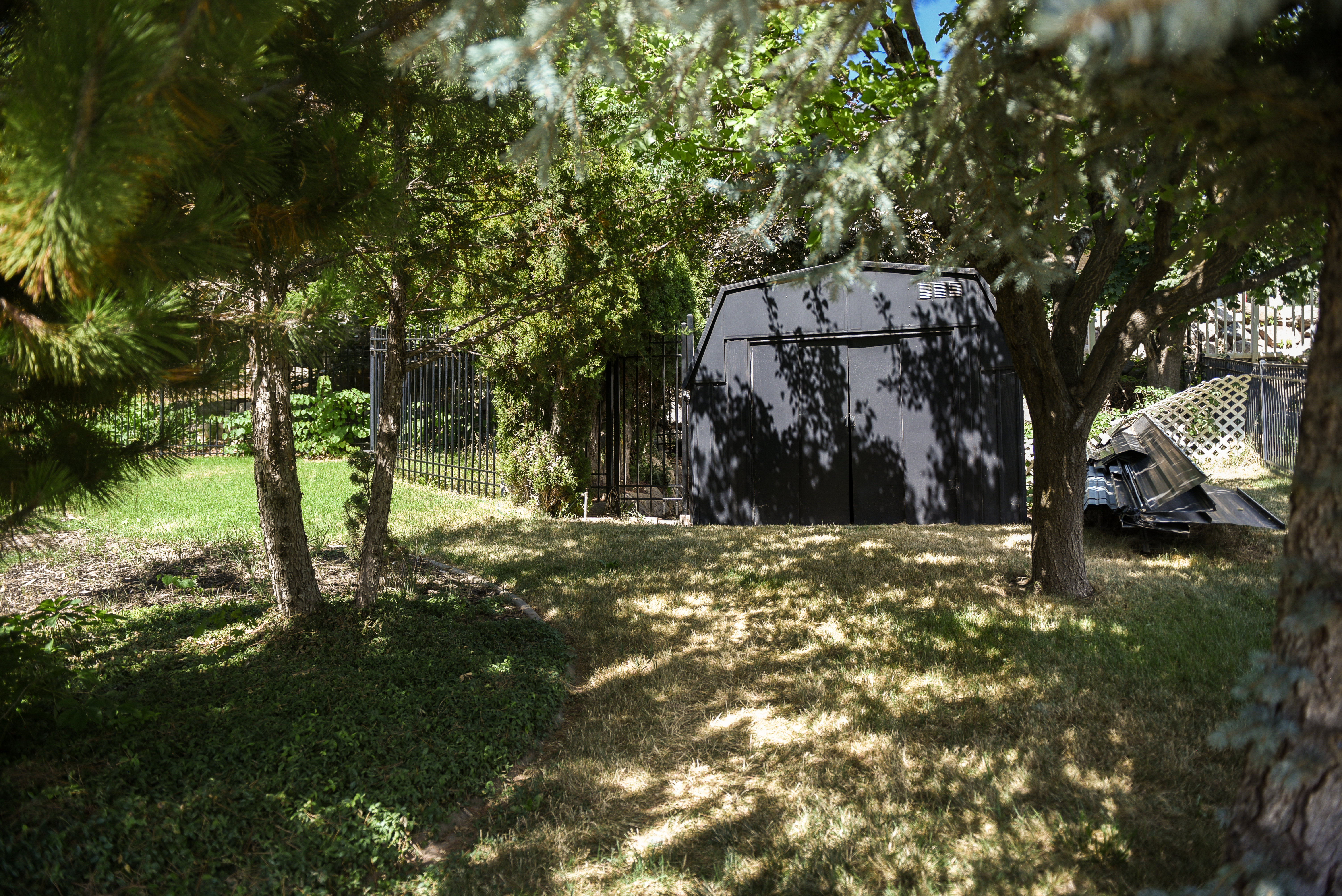 Backyard area featuring a dark shed with double doors, mature trees, and a metal fence