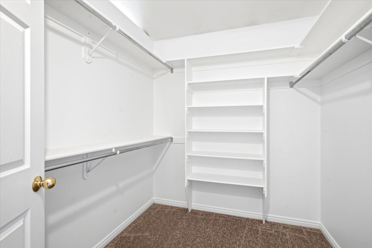Walk-in closet with white walls, carpet flooring, multiple shelving units, and hanging rods