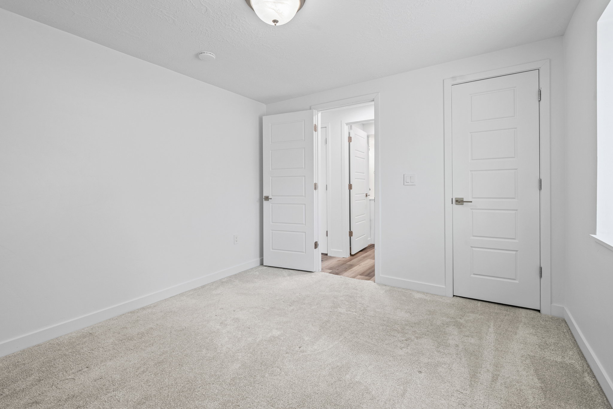 Carpeted interior space featuring white walls and trim