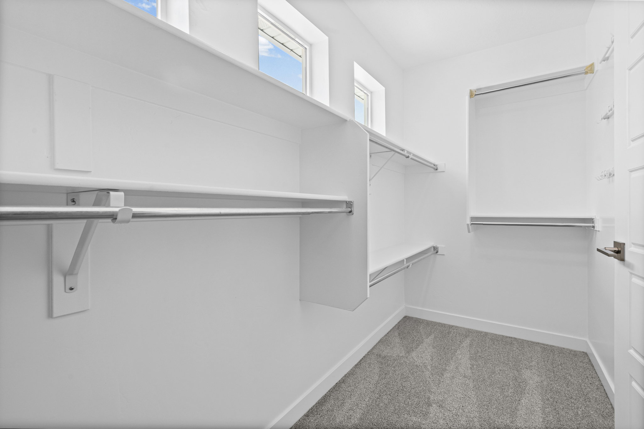 Bright walk-in closet featuring built-in white shelving, multiple hanging rods, two upper windows for natural light, and plush gray carpeting