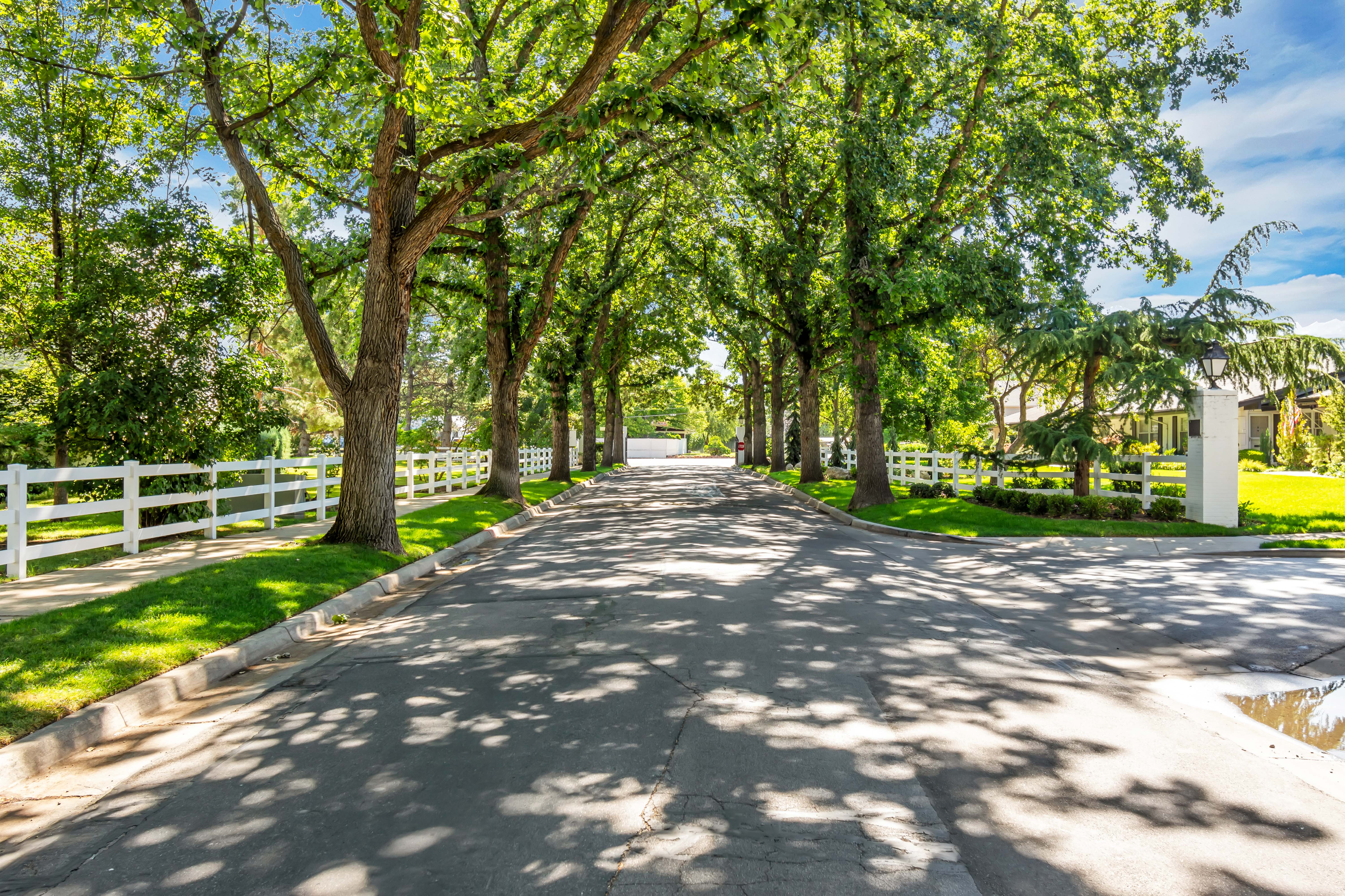 Tree-lined street with white picket fencing, manicured lawns, and mature trees providing shade
