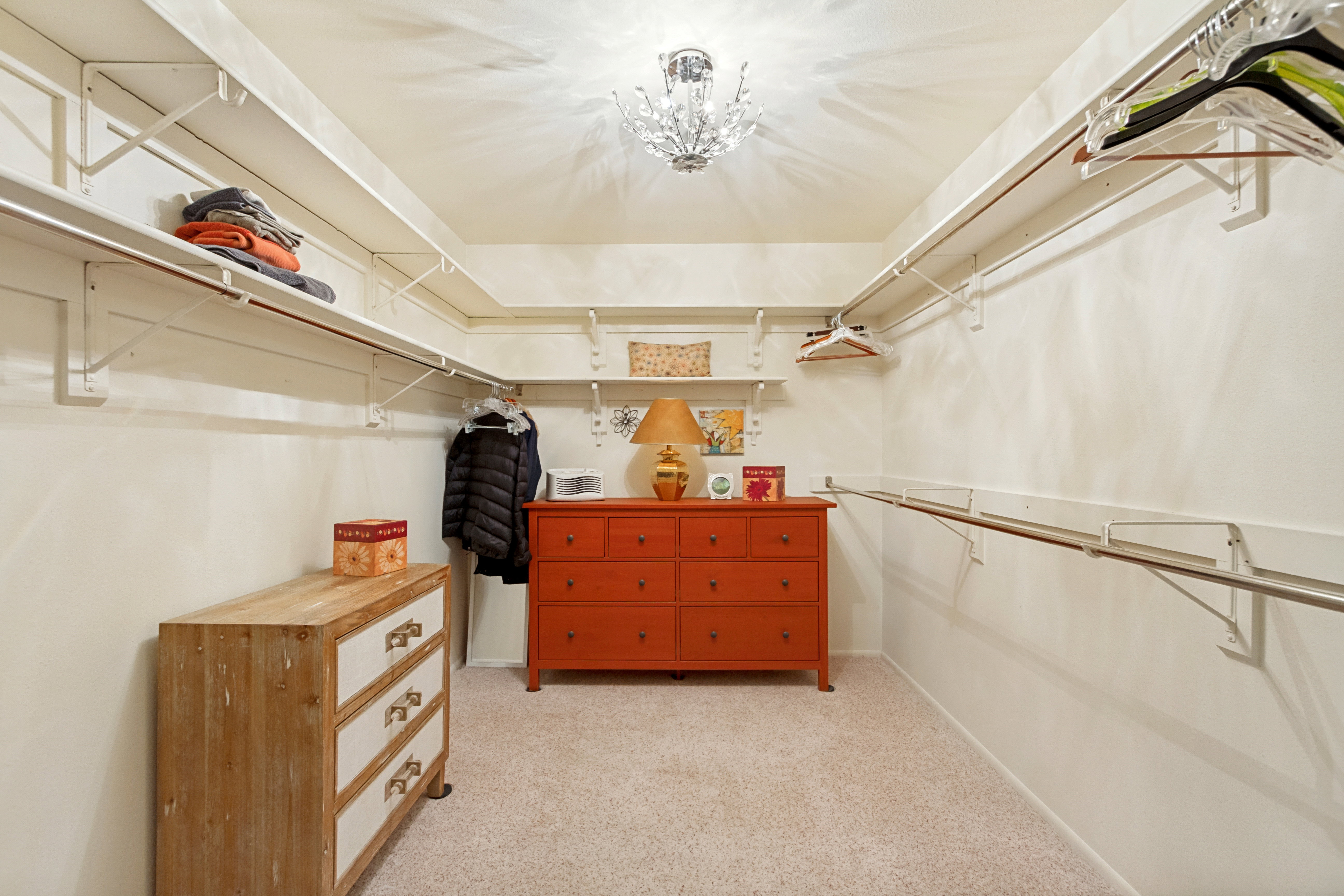 Spacious walk-in closet featuring extensive built-in shelving, multiple hanging rods, and neutral carpet flooring