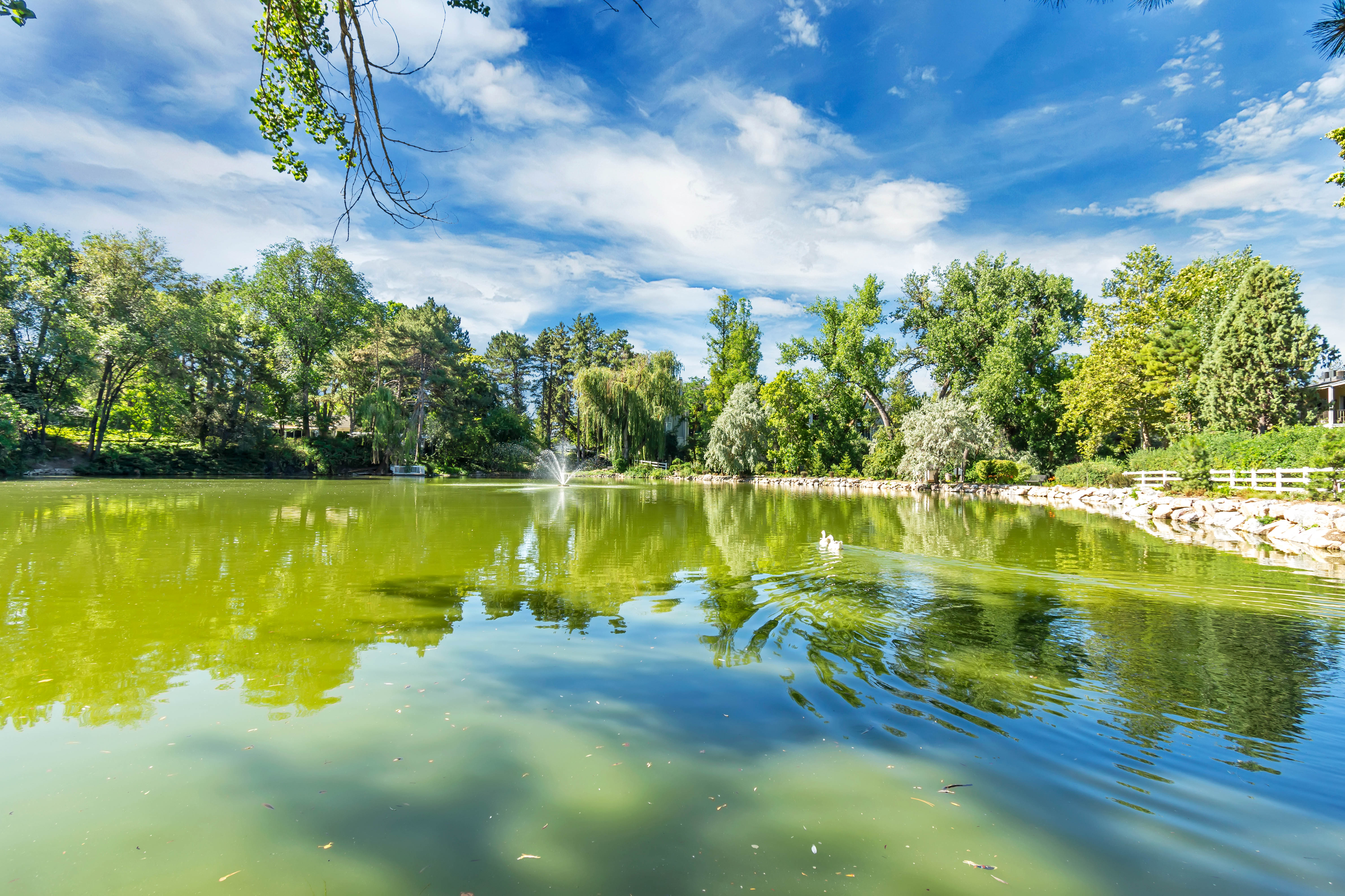 Expansive water feature with a central fountain, surrounded by mature trees and natural rock landscaping