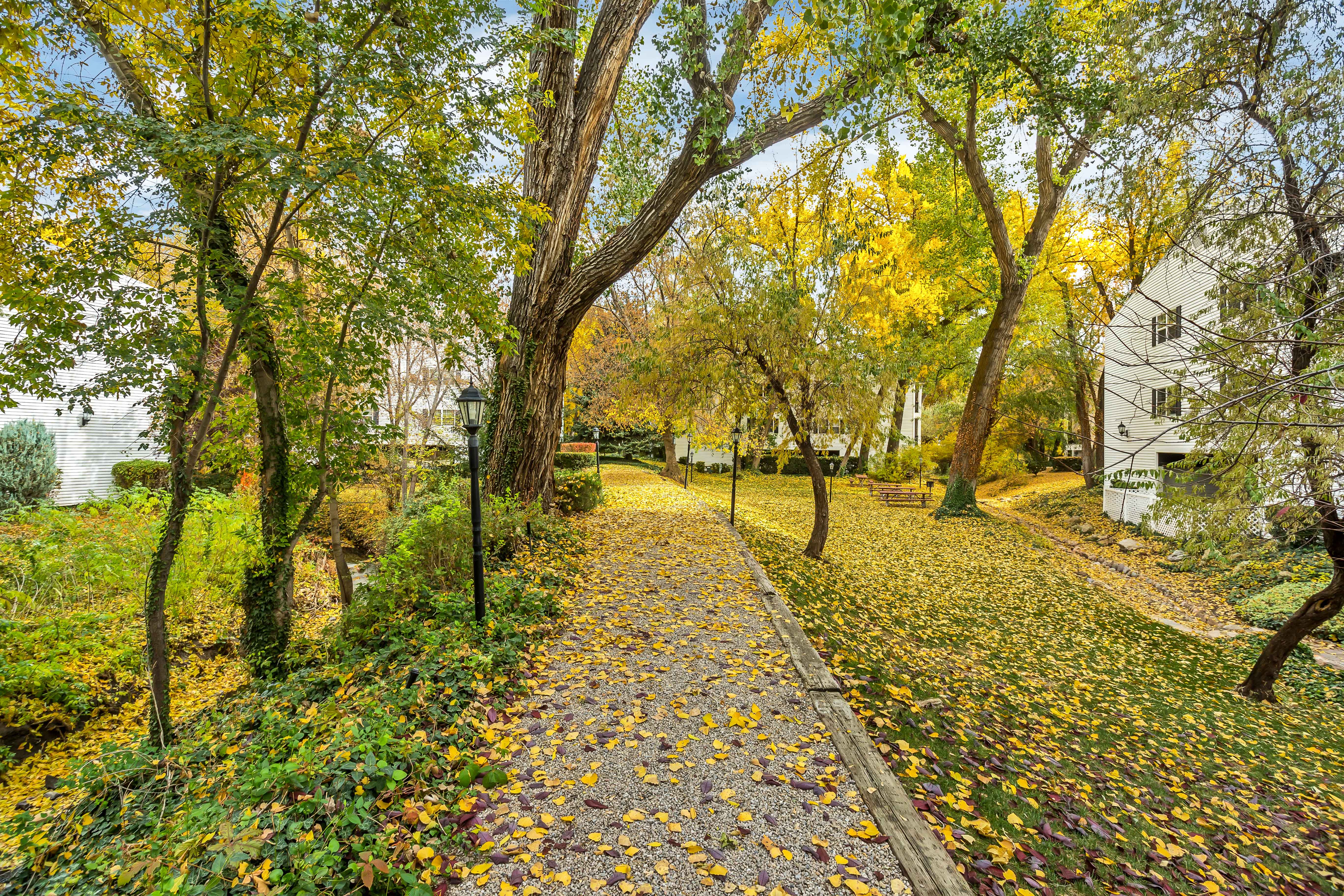 Landscaped grounds featuring mature trees with vibrant foliage, a gravel pathway, and integrated lampposts