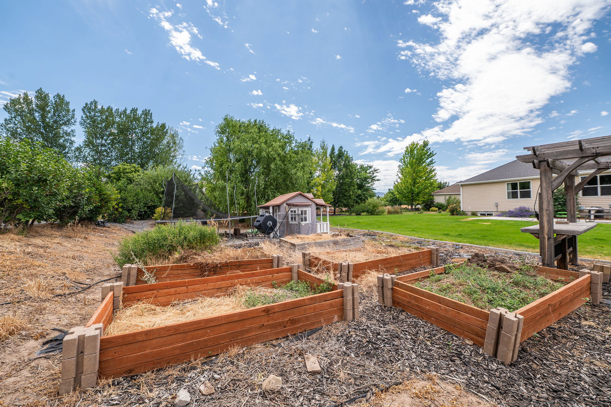 Backyard featuring multiple raised garden beds, a shed structure, and a wooden pergola