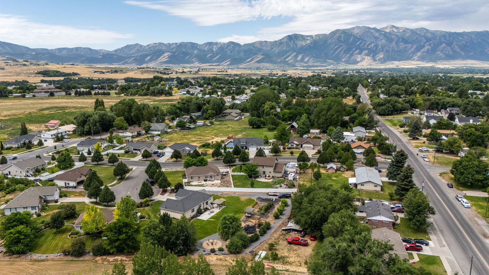Aerial perspective showcasing a residential area with mature trees and a distant mountain range