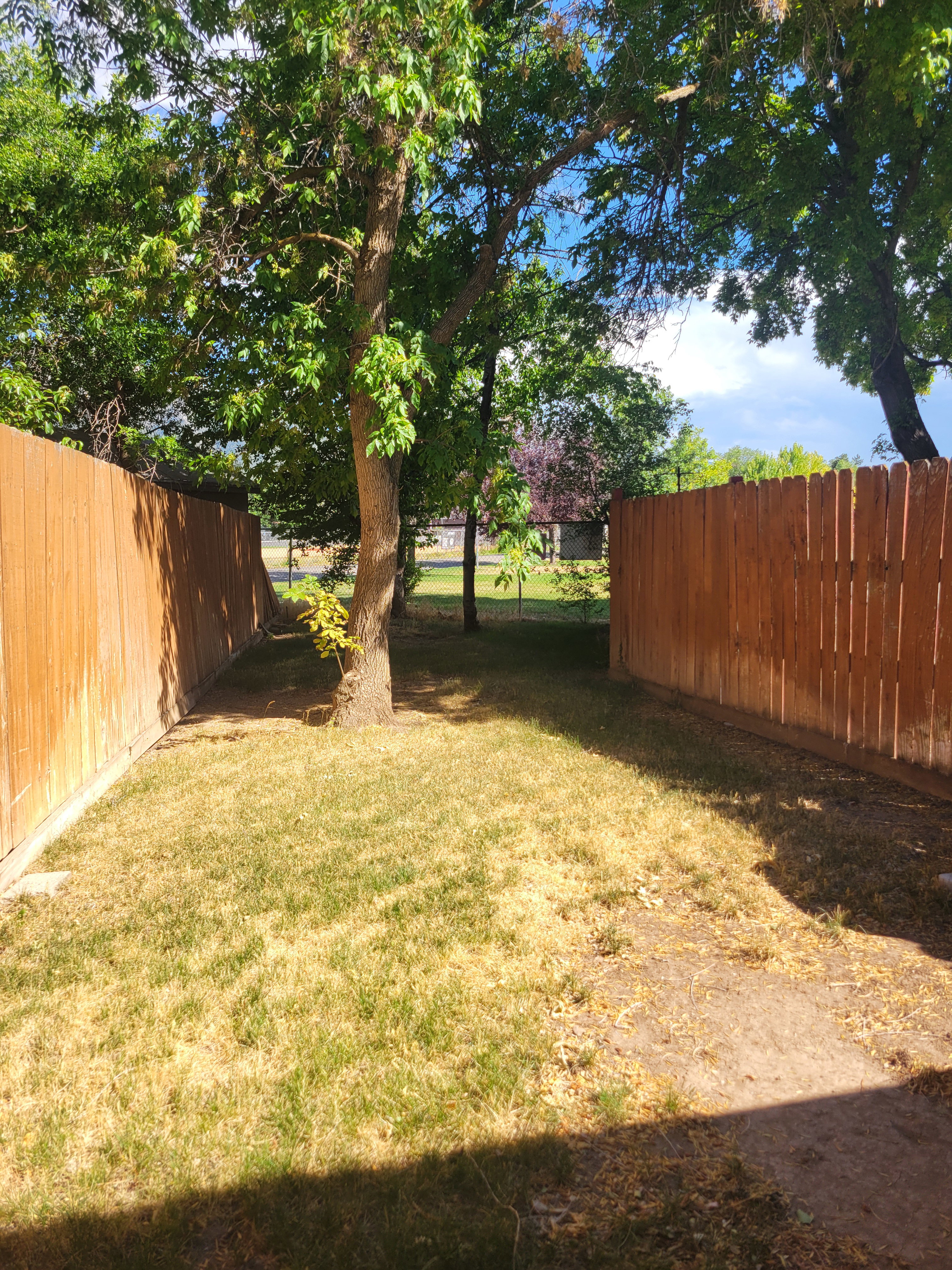 Nice sized fully Fenced yard with established trees and natural landscaping. No back yard neighbors.