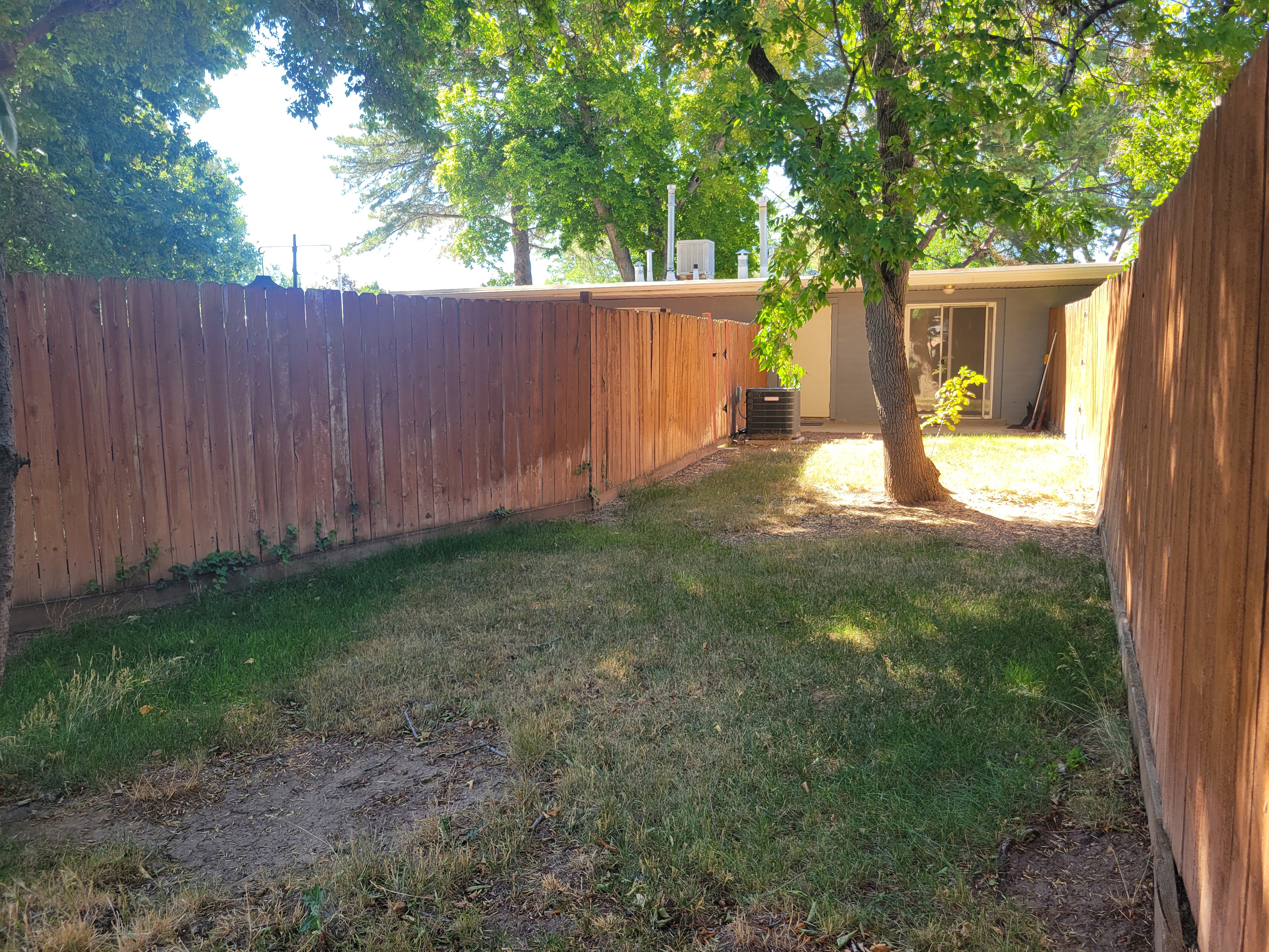 Another view of the back yard.