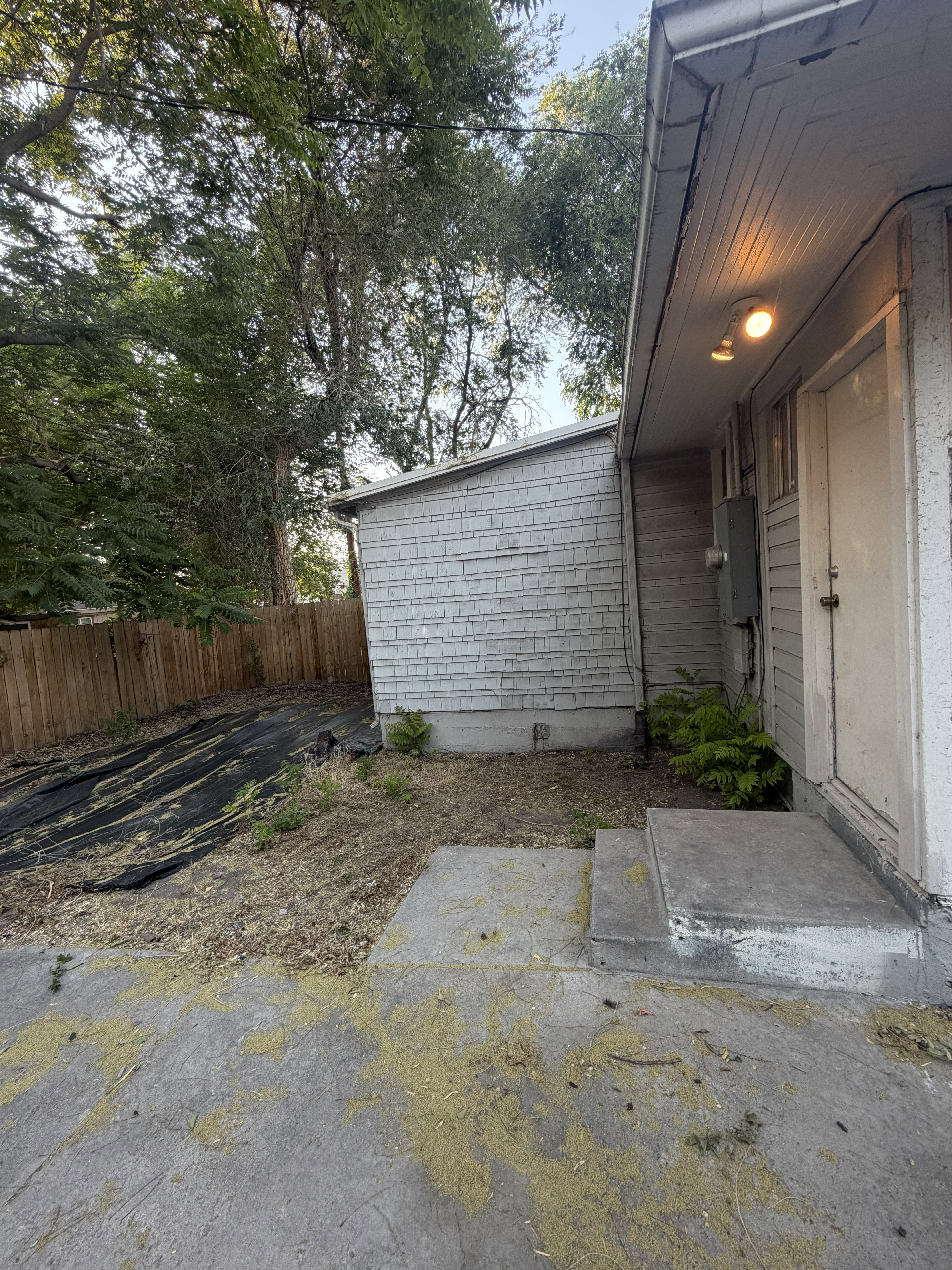 Rear exterior featuring a concrete patio, wood privacy fence, and mature trees