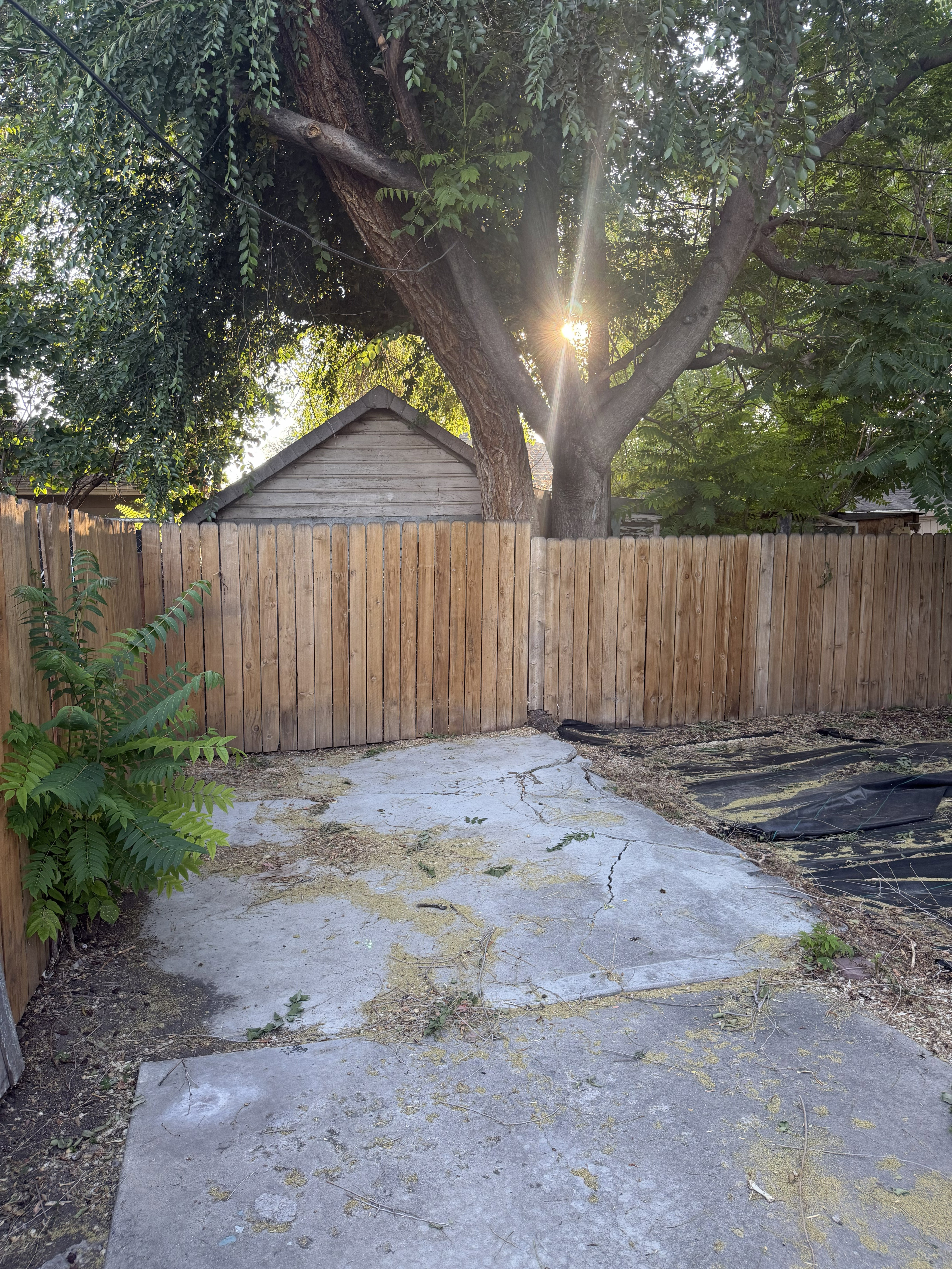 Yard