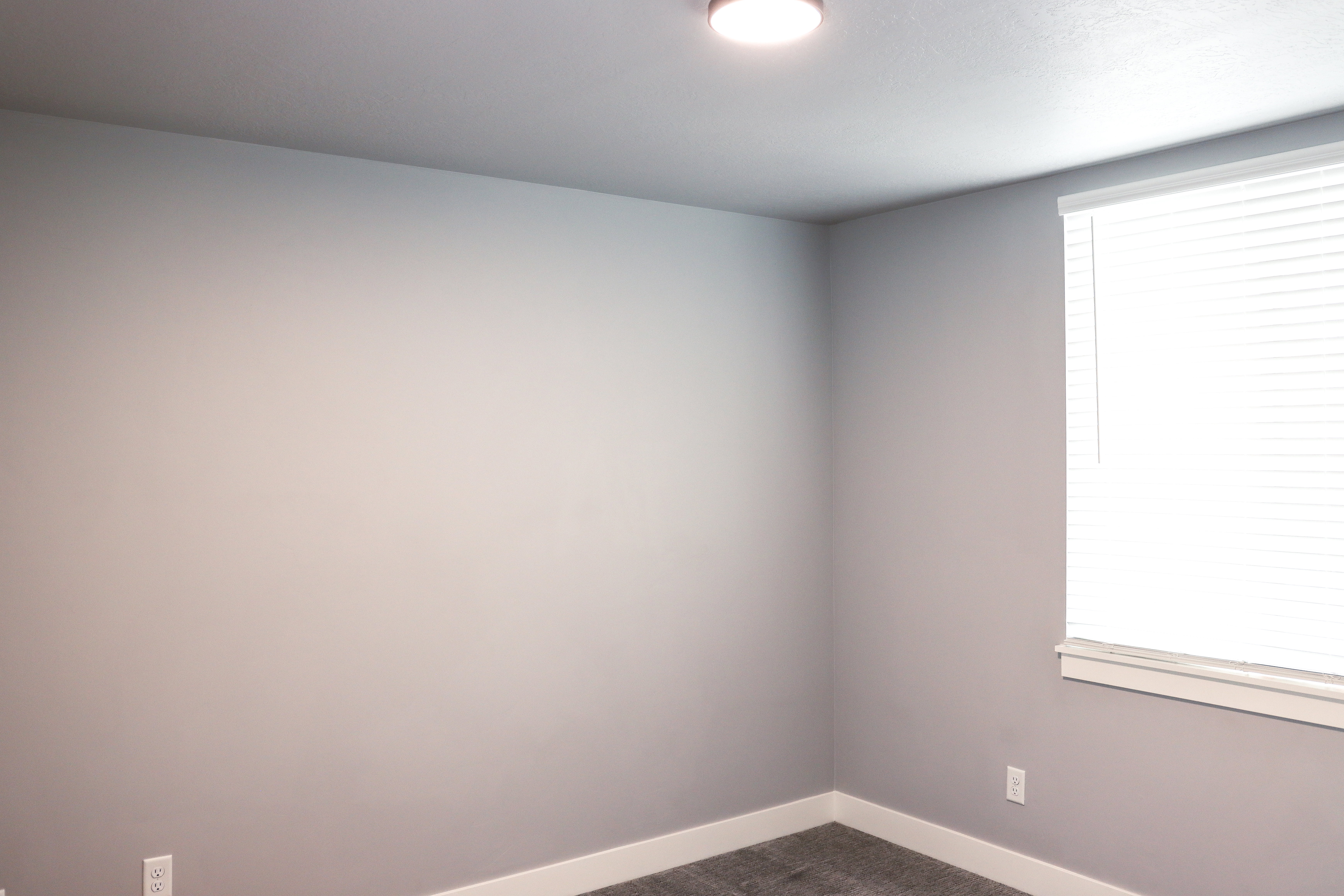 Neutral-toned wall finishes with white trim
