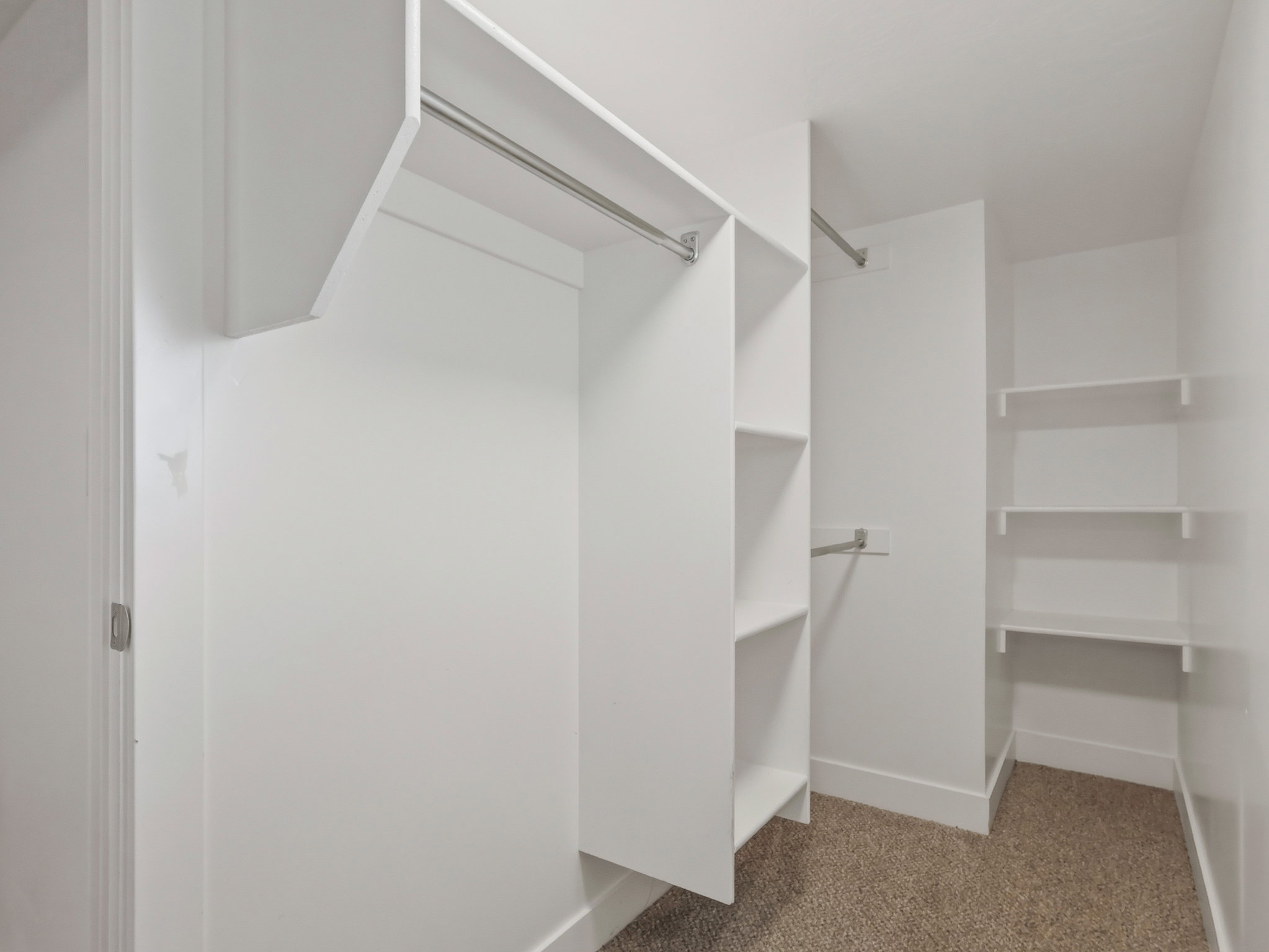 Walk-in closet featuring built-in white shelving, multiple hanging rods, and carpet flooring