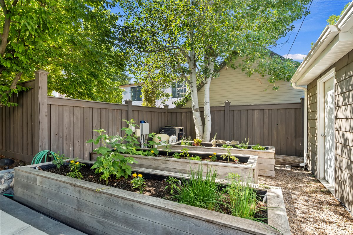 Tiered raised garden beds with established plantings, complemented by a mature tree and wood privacy fencing