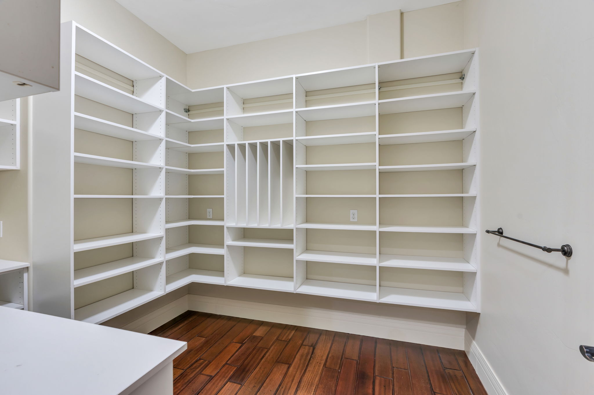 Custom-built pantry featuring extensive shelving, specialized vertical storage, rich wood-finish flooring, and a white countertop surface