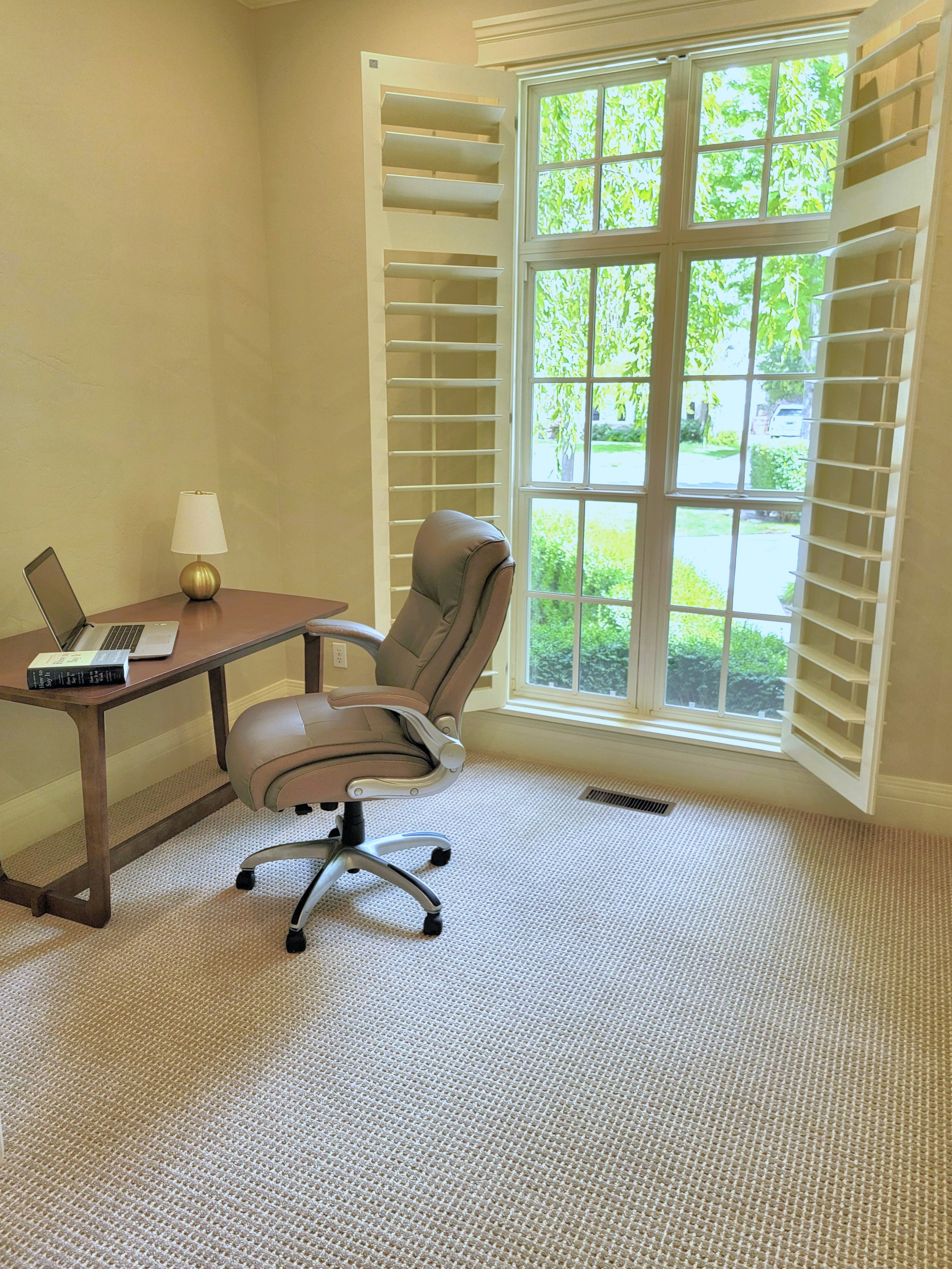 Office featuring a large window with plantation shutters, neutral-toned textured carpeting, and a crown molding detail