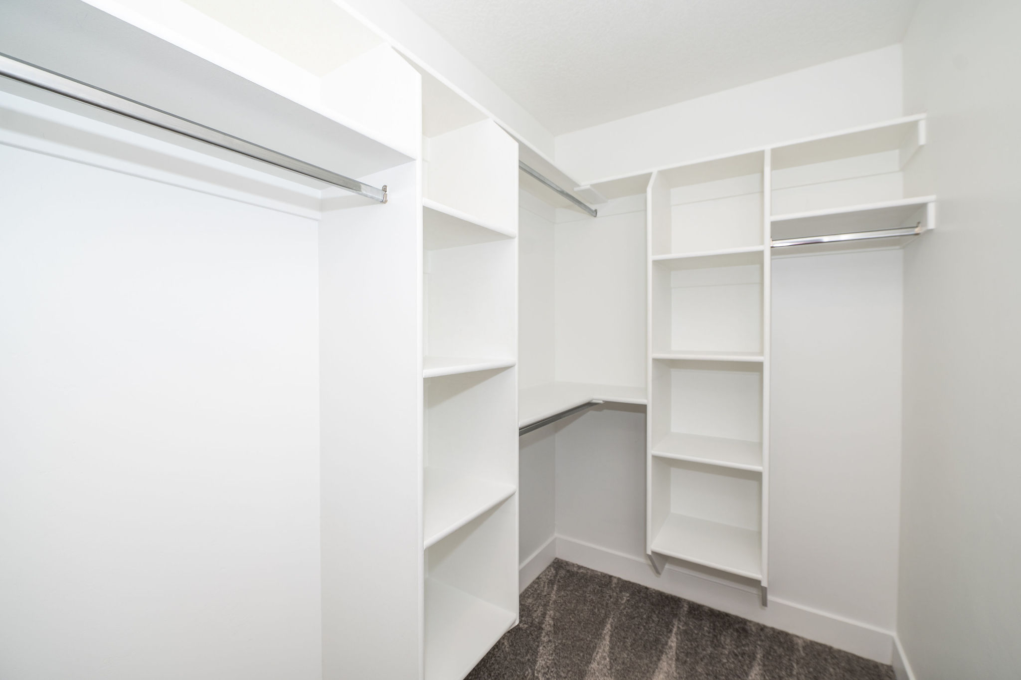 Walk-in closet featuring white built-in shelving, multiple hanging rods, and dark patterned carpeting